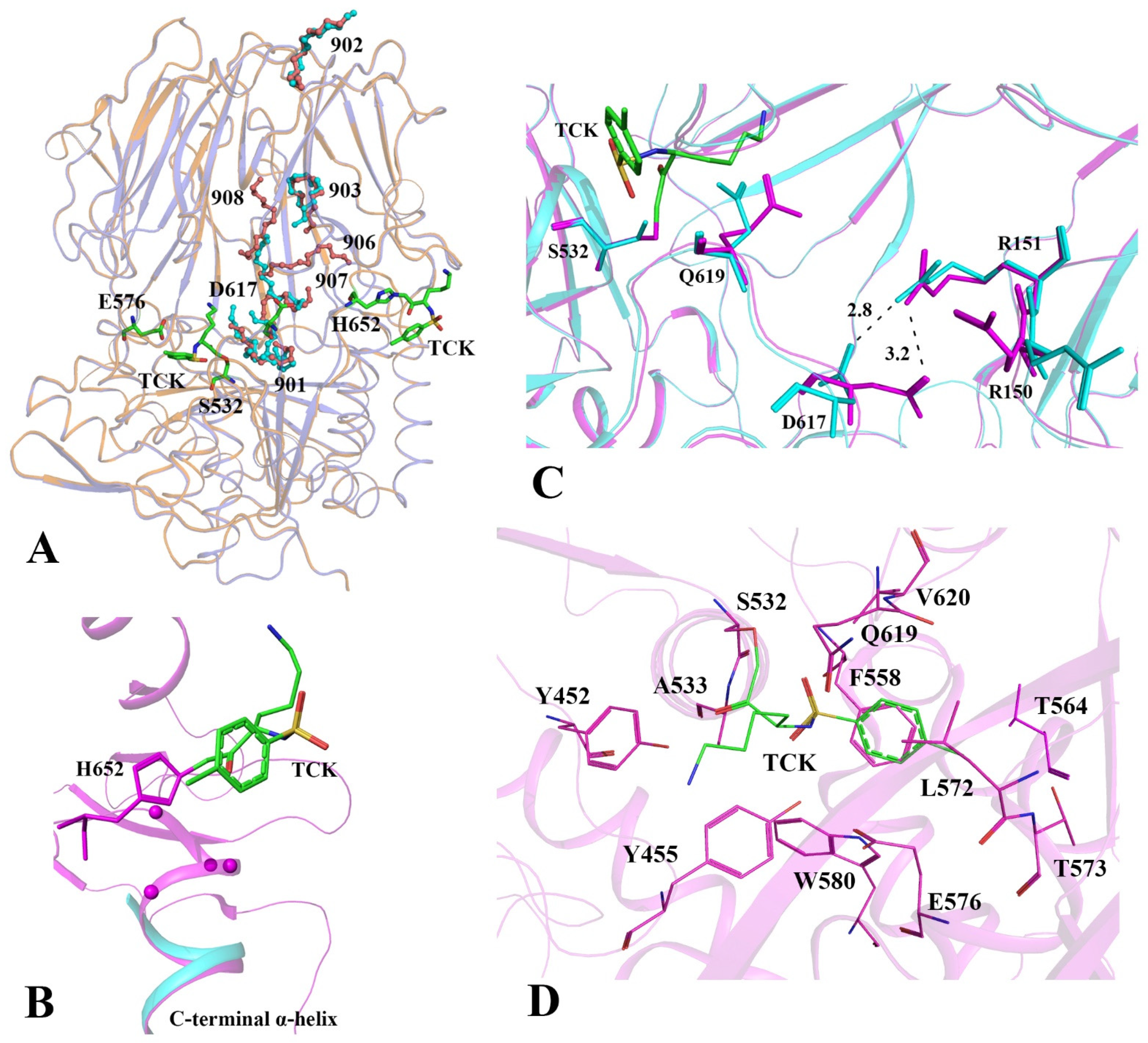 Crystals 11 01438 g003