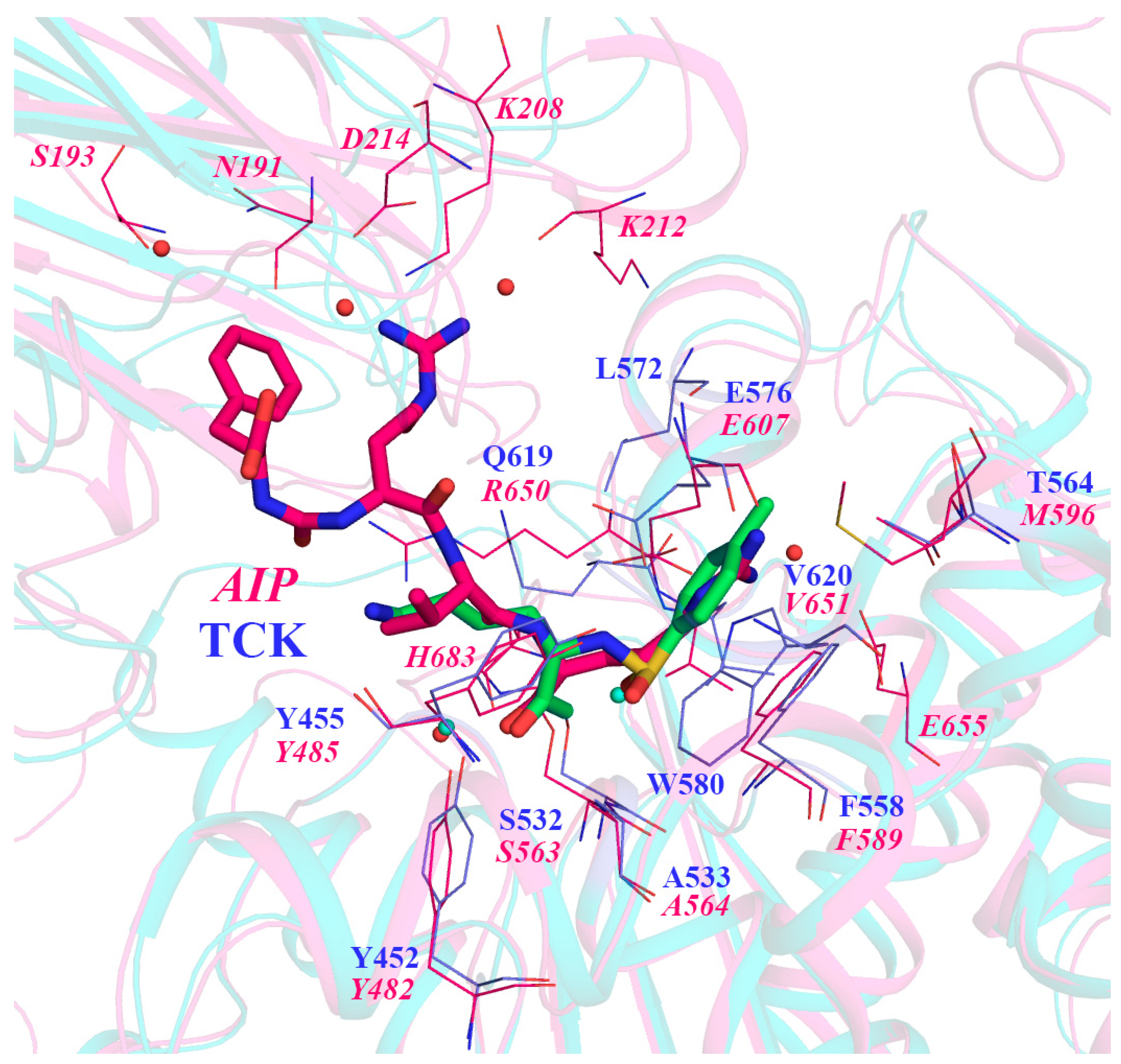 Crystals 11 01438 g004