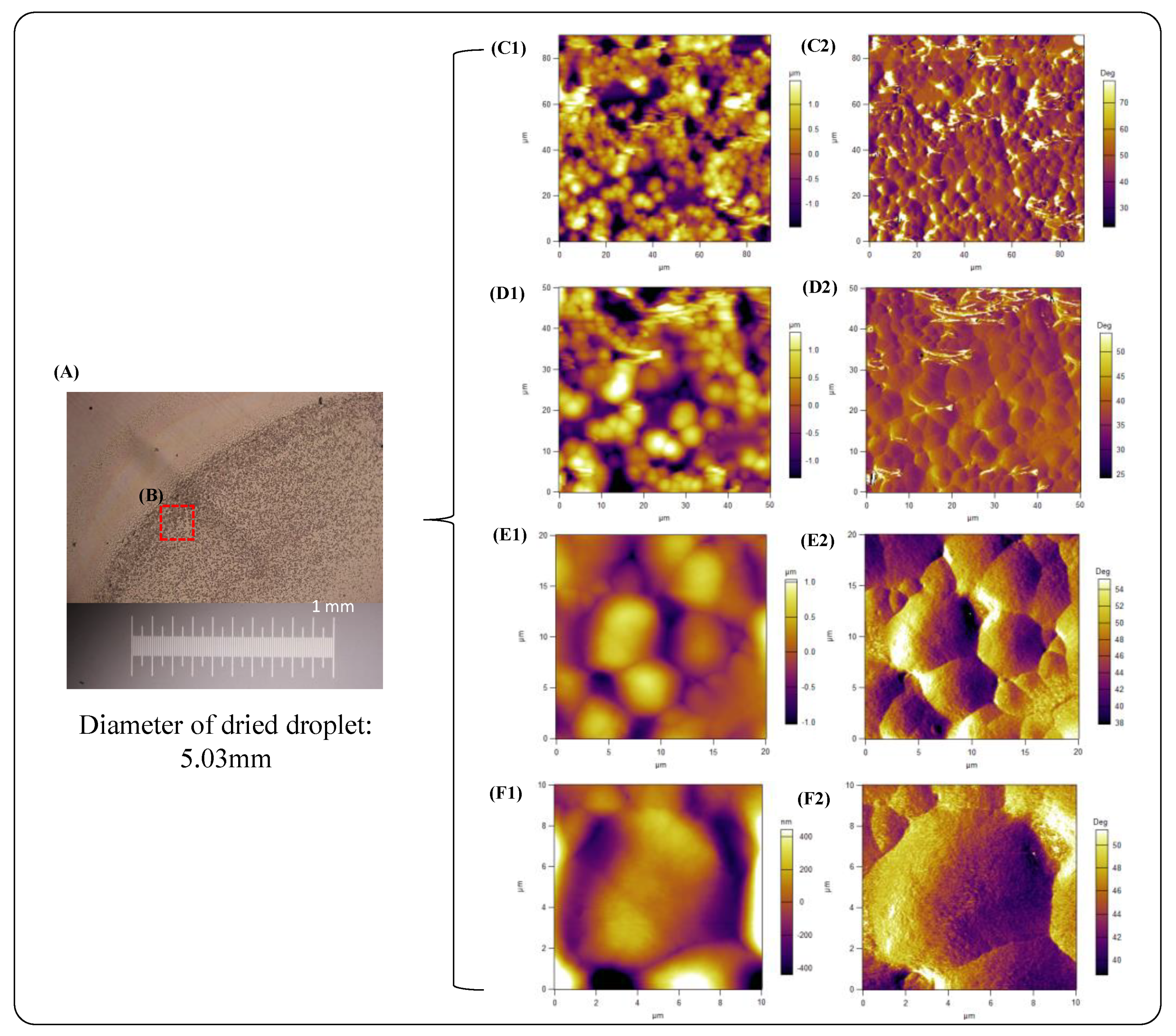 Crystals 11 01442 g001 550