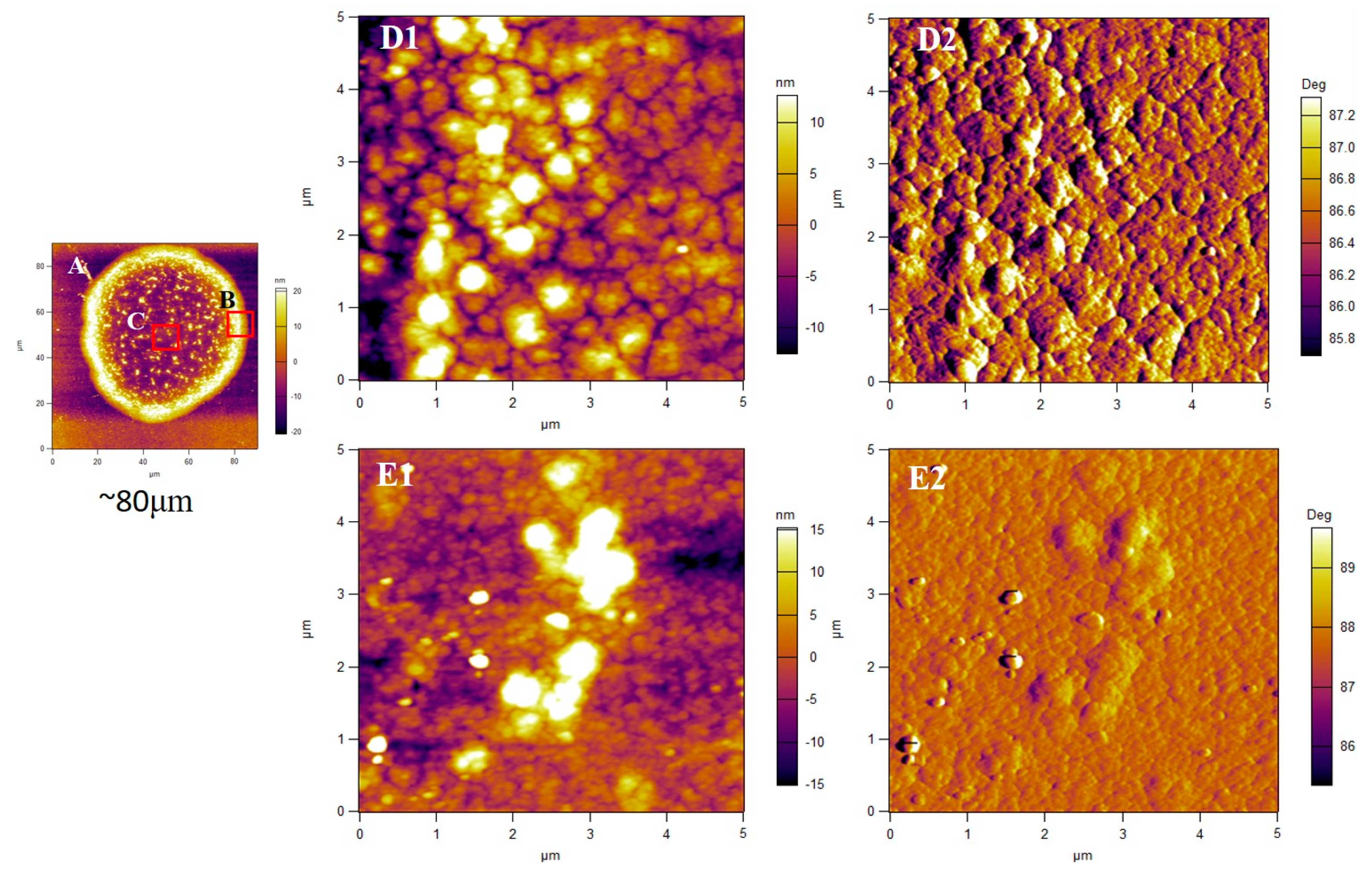 Crystals 11 01442 g004 550