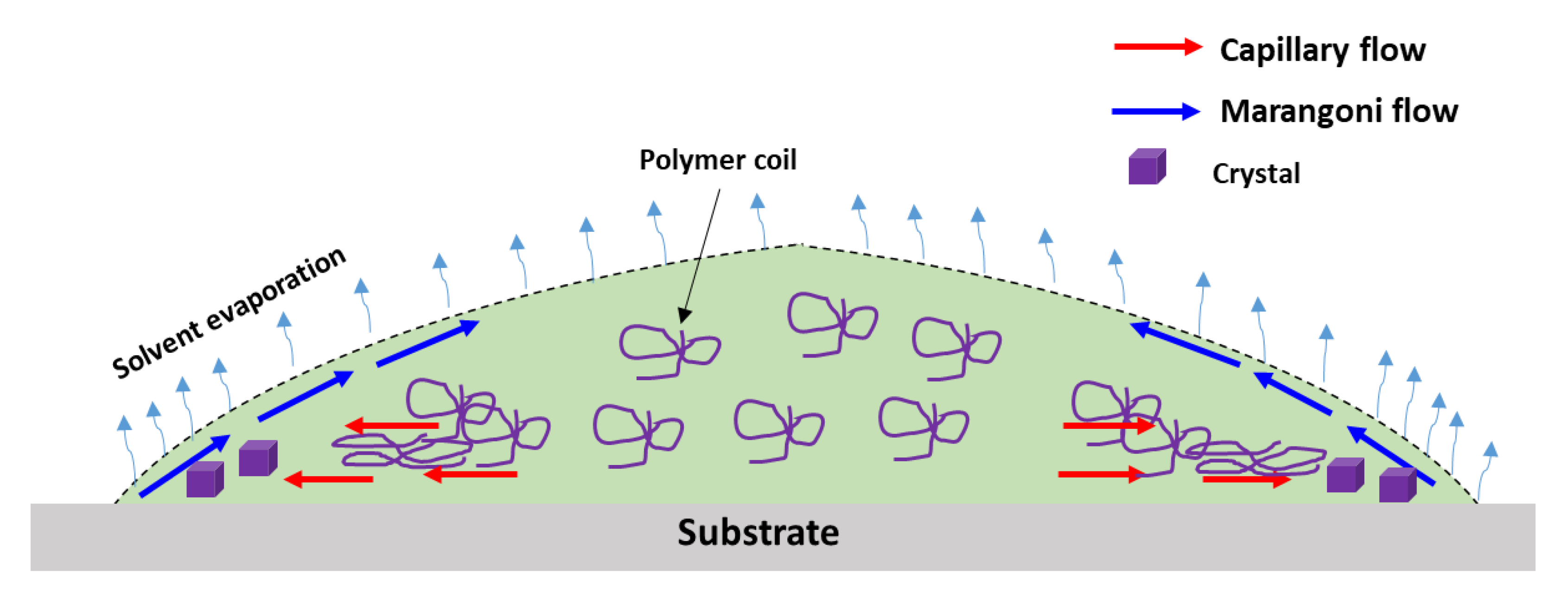 Crystals 11 01442 g010 550