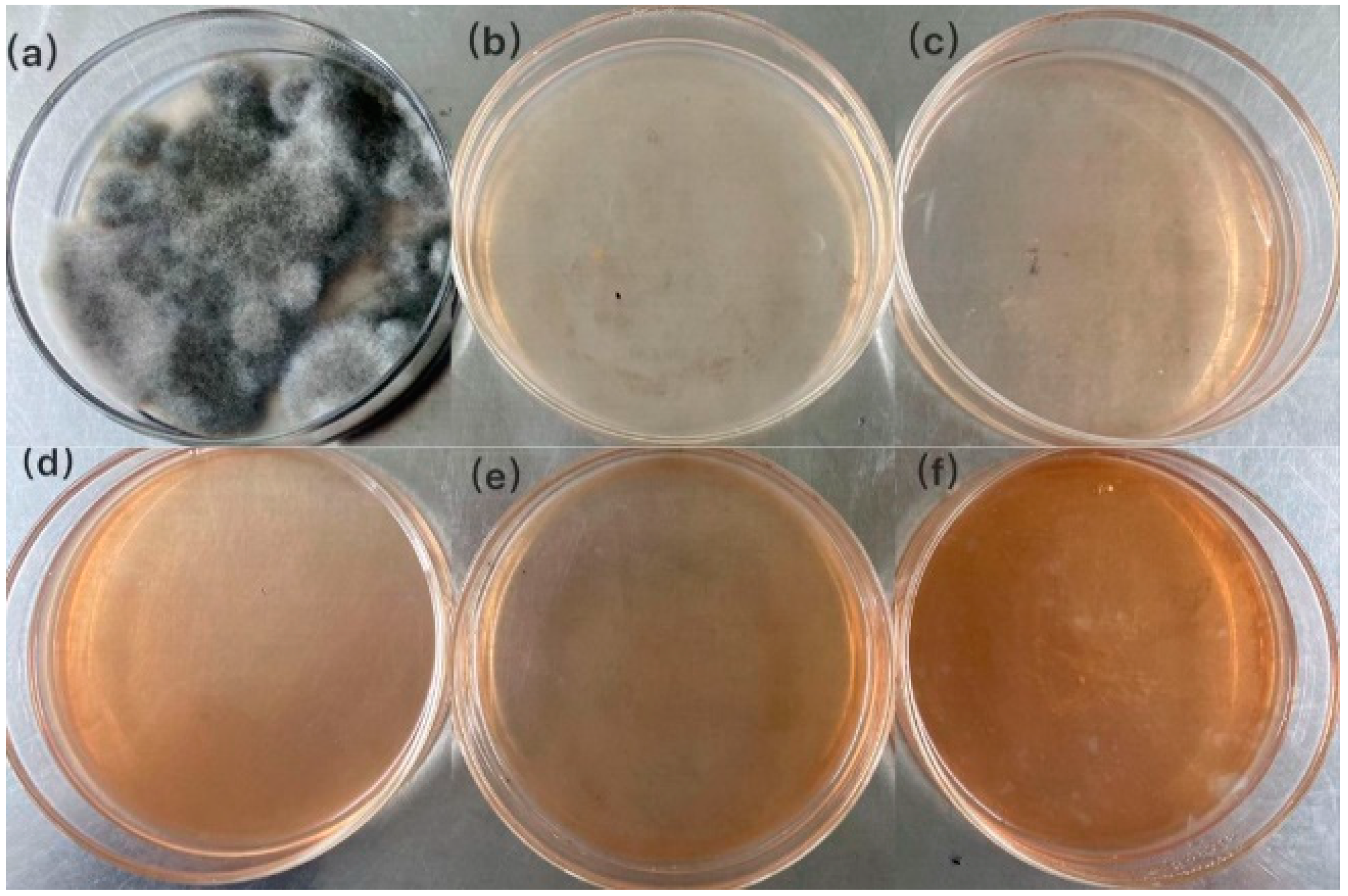 Crystals 11 01443 g006 Crystals 11 01443 g006