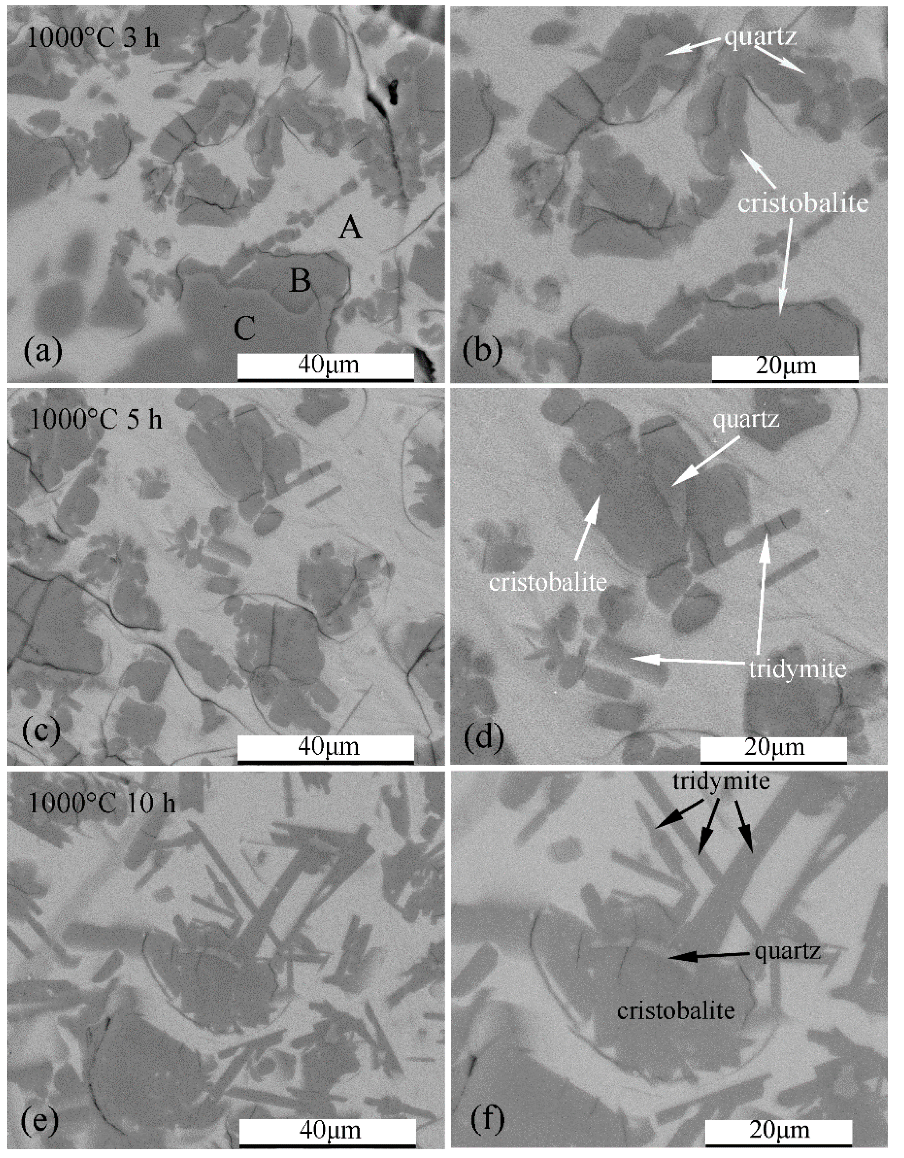 Crystals 11 01481 g005 550