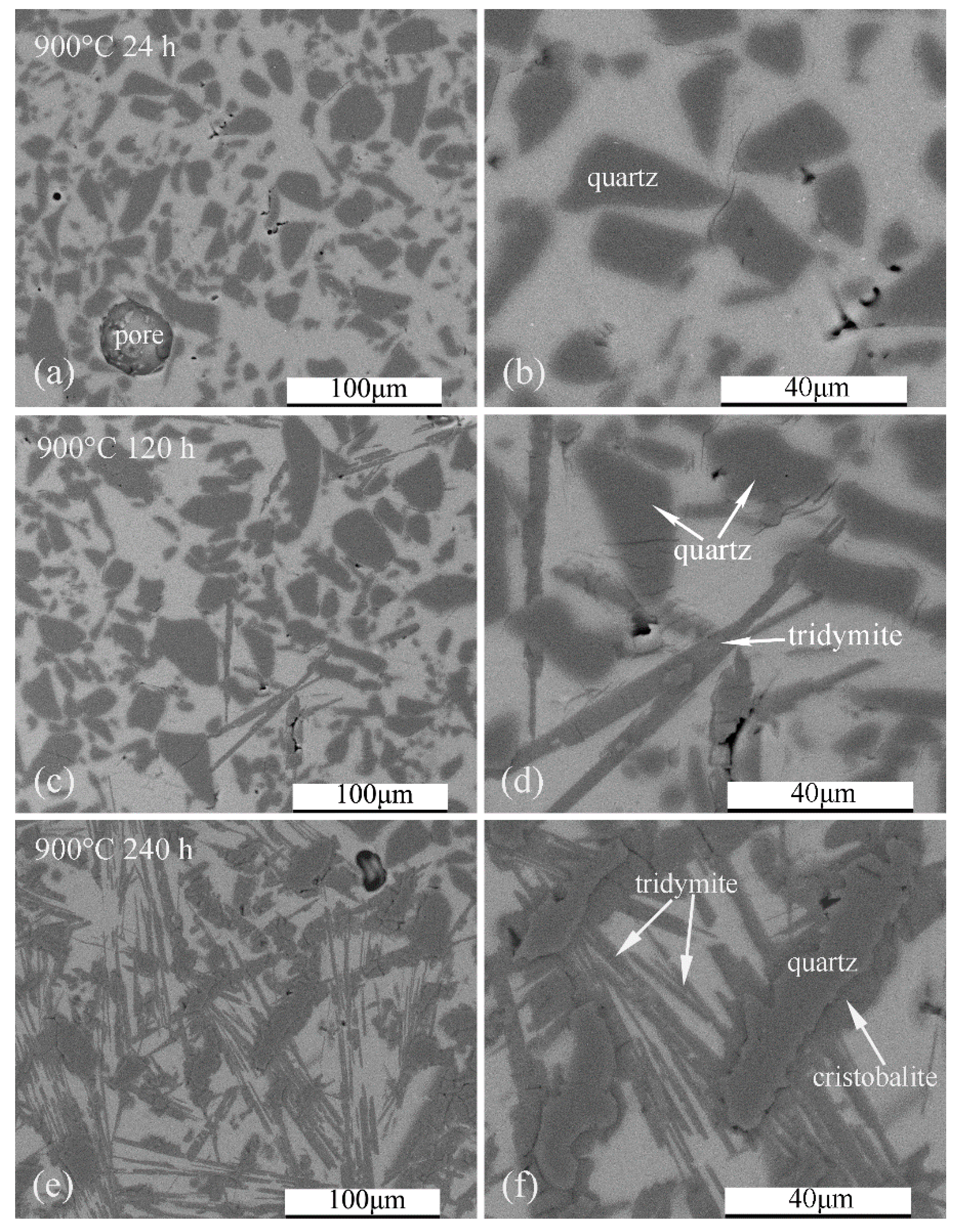 Crystals 11 01481 g008 550