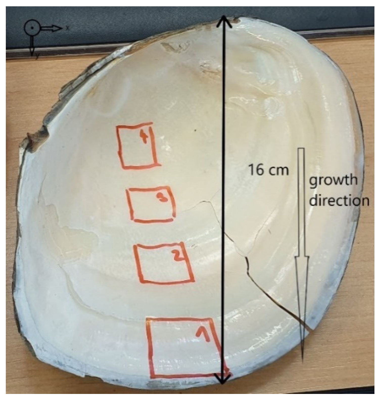 Crystals 11 01483 g001