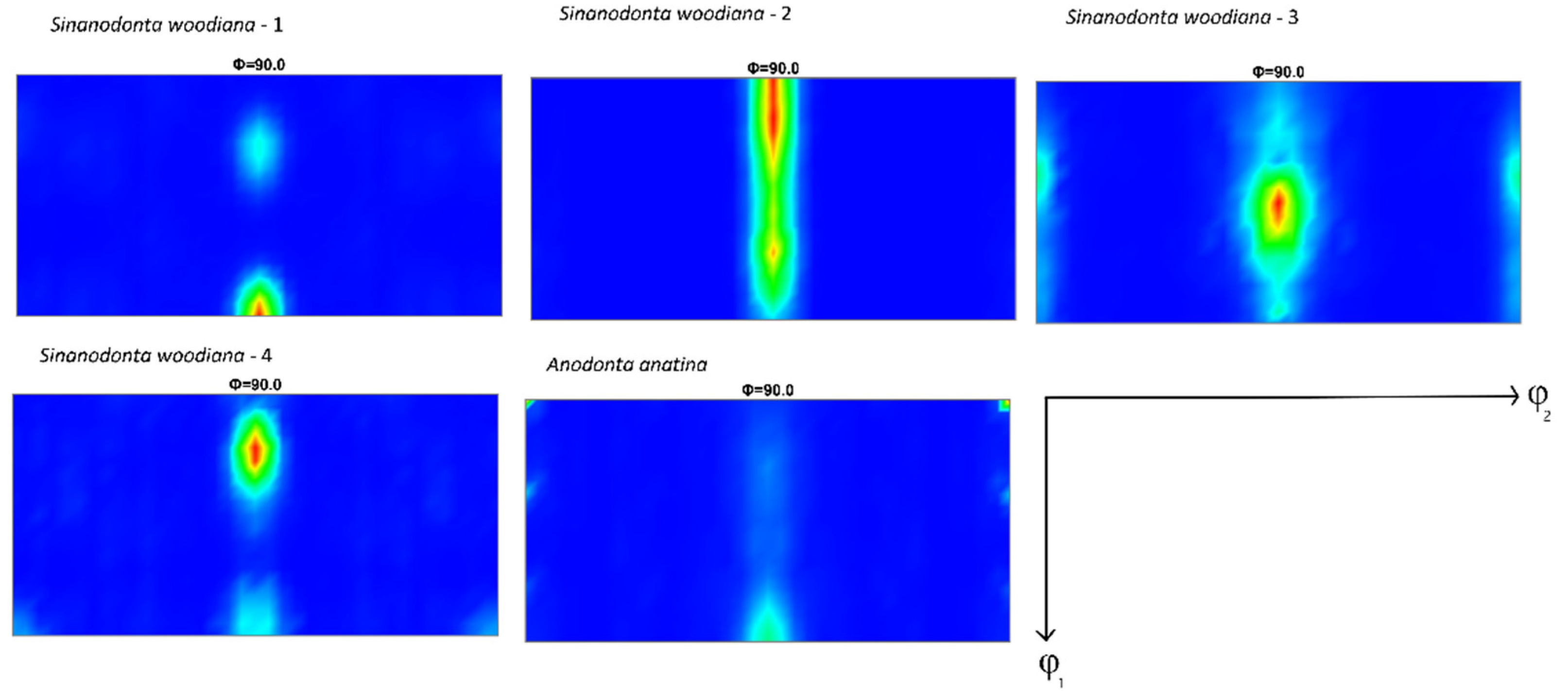 Crystals 11 01483 g002