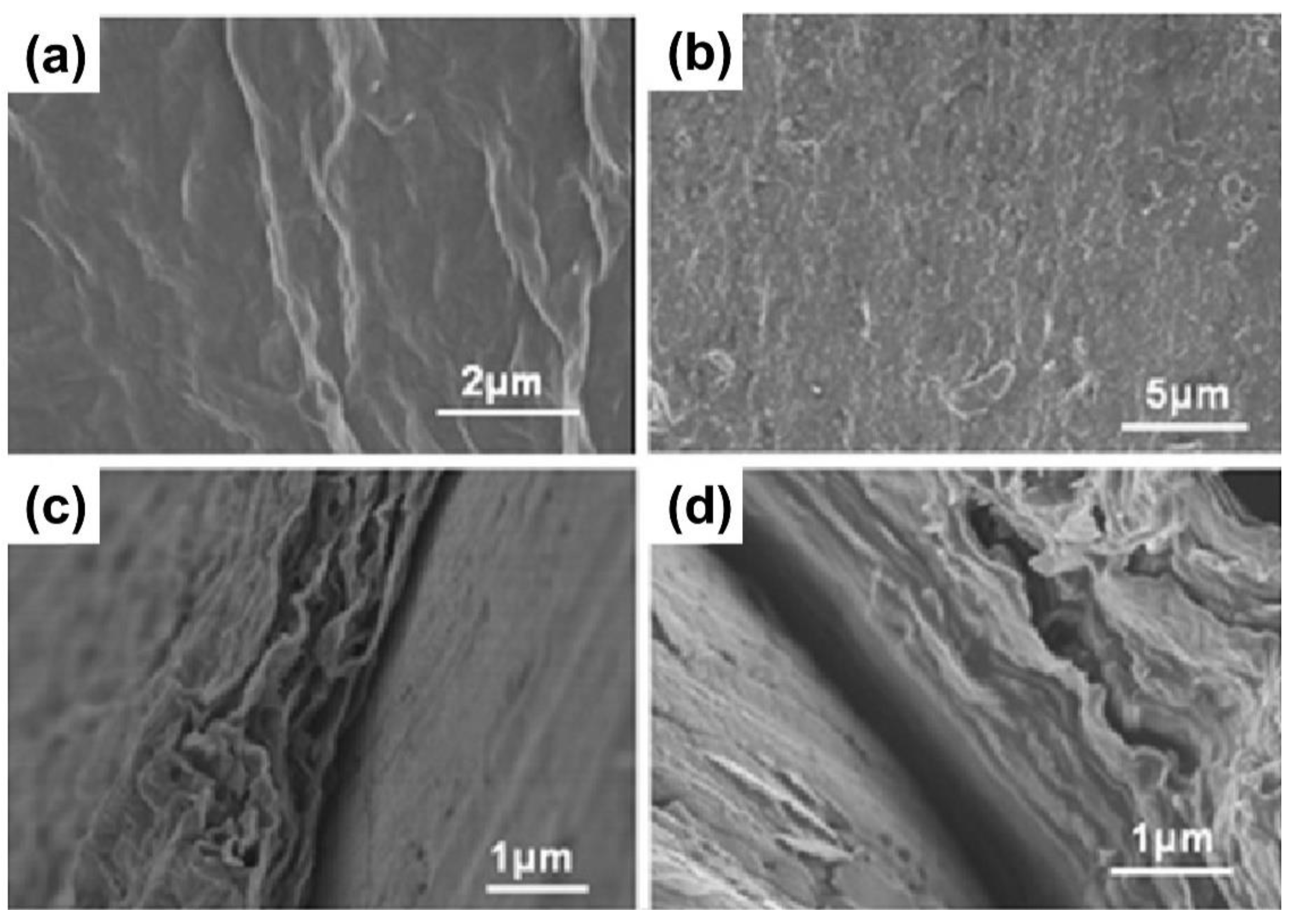 Crystals 11 01484 g005