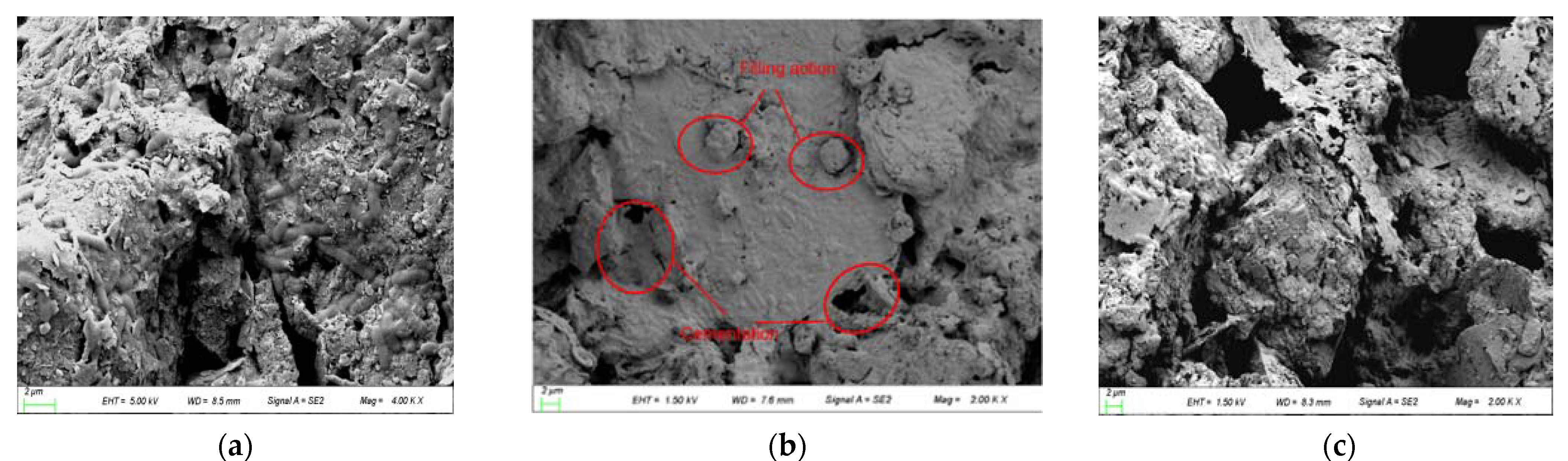 Crystals 11 01492 g006