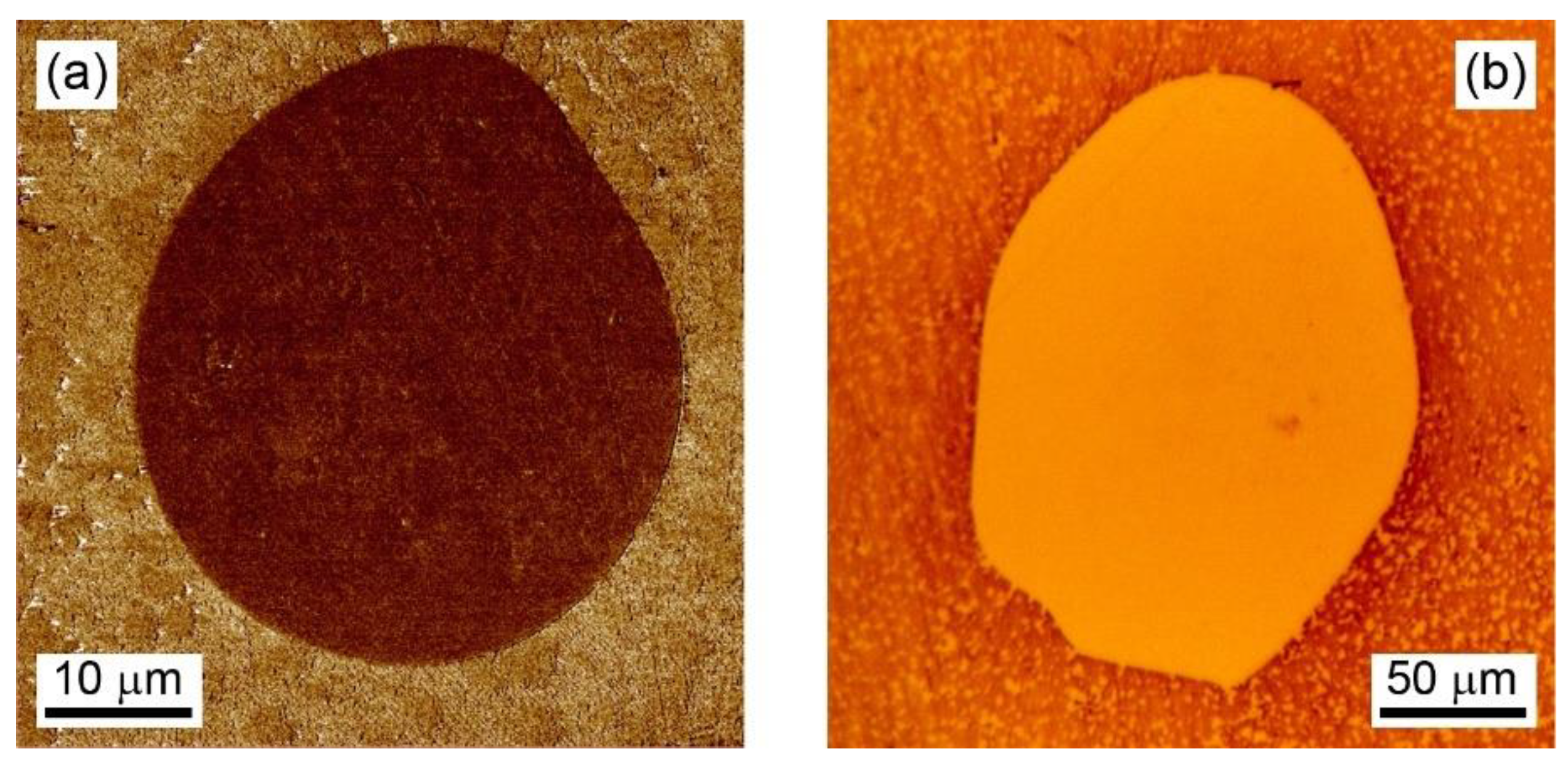 Crystals 11 01508 g001