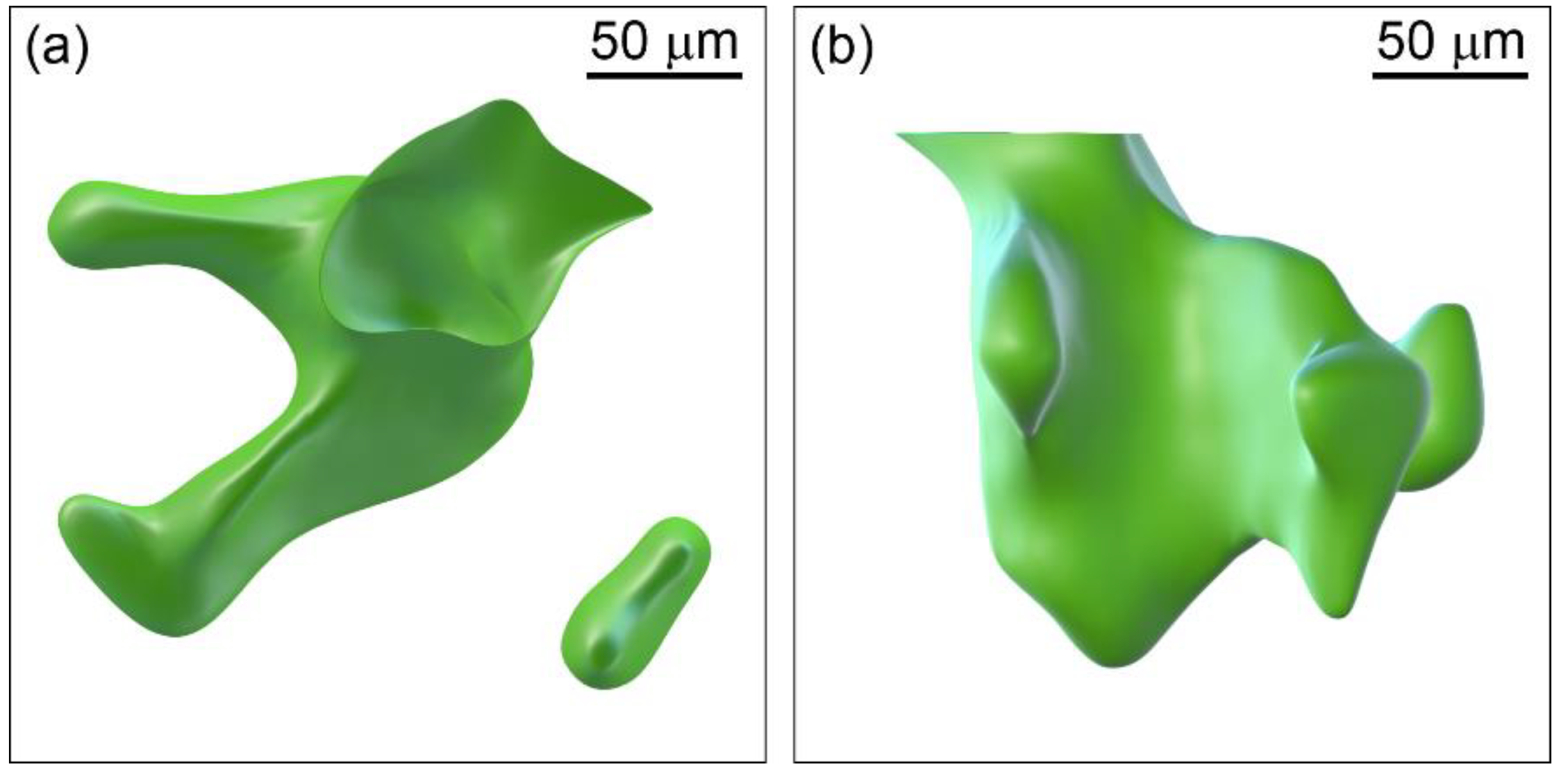 Crystals 11 01508 g004