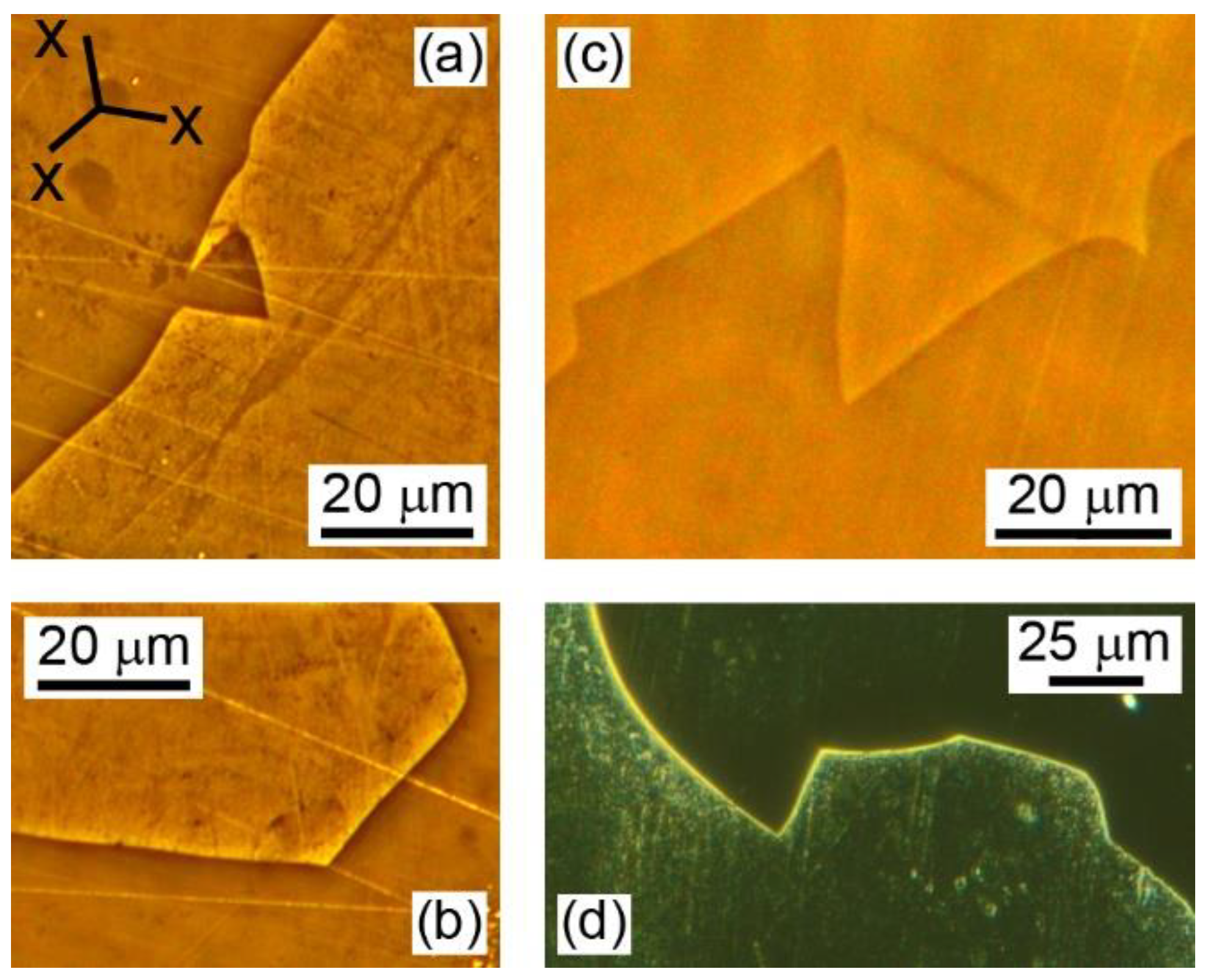 Crystals 11 01508 g005
