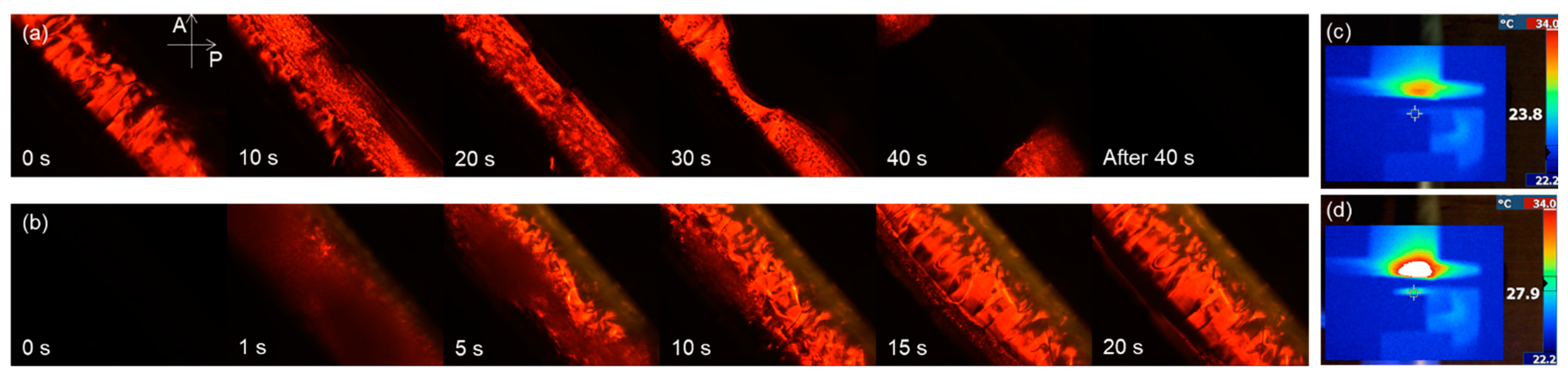 Crystals 11 01510 g006 550