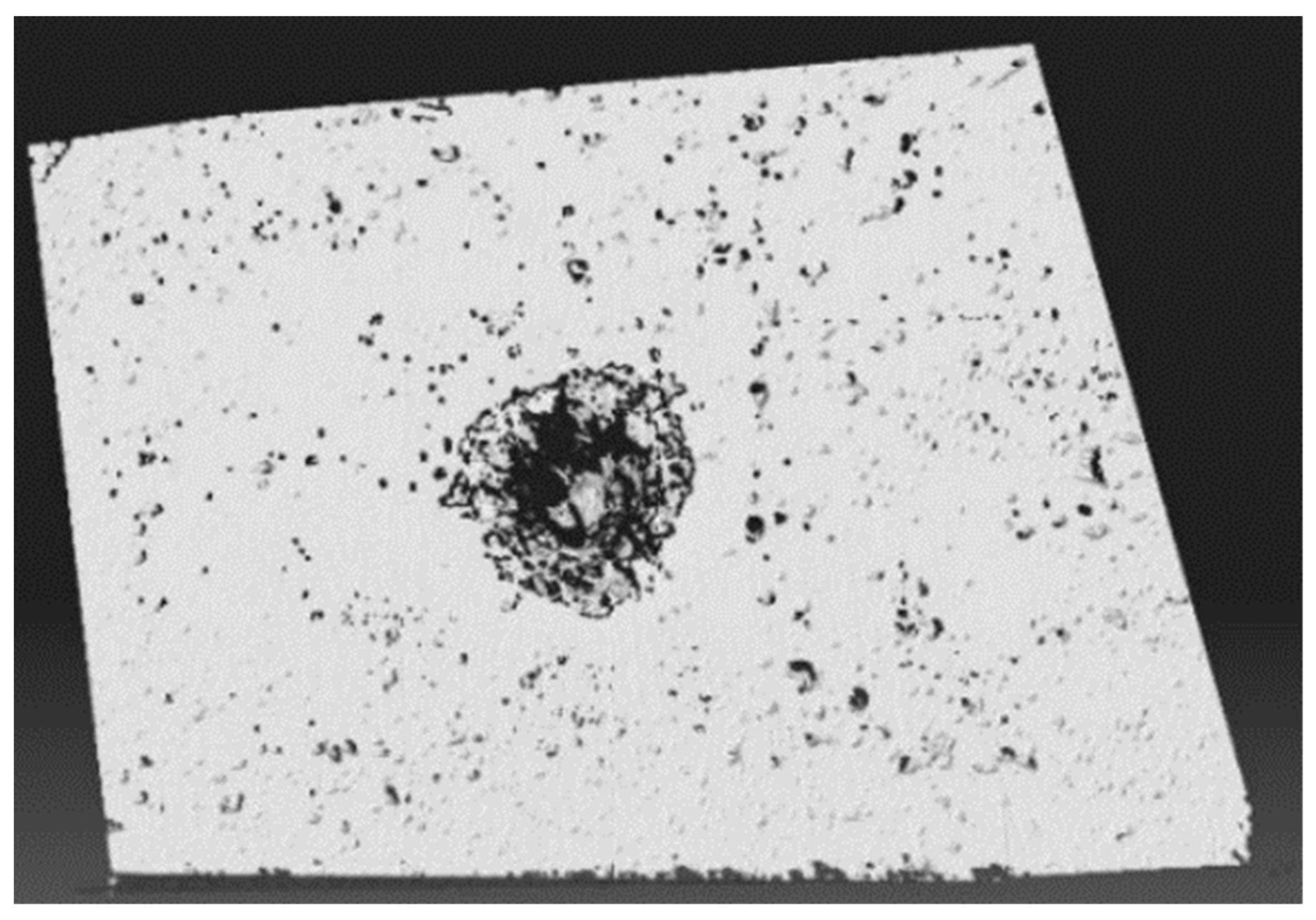 Crystals 11 01529 g008 550