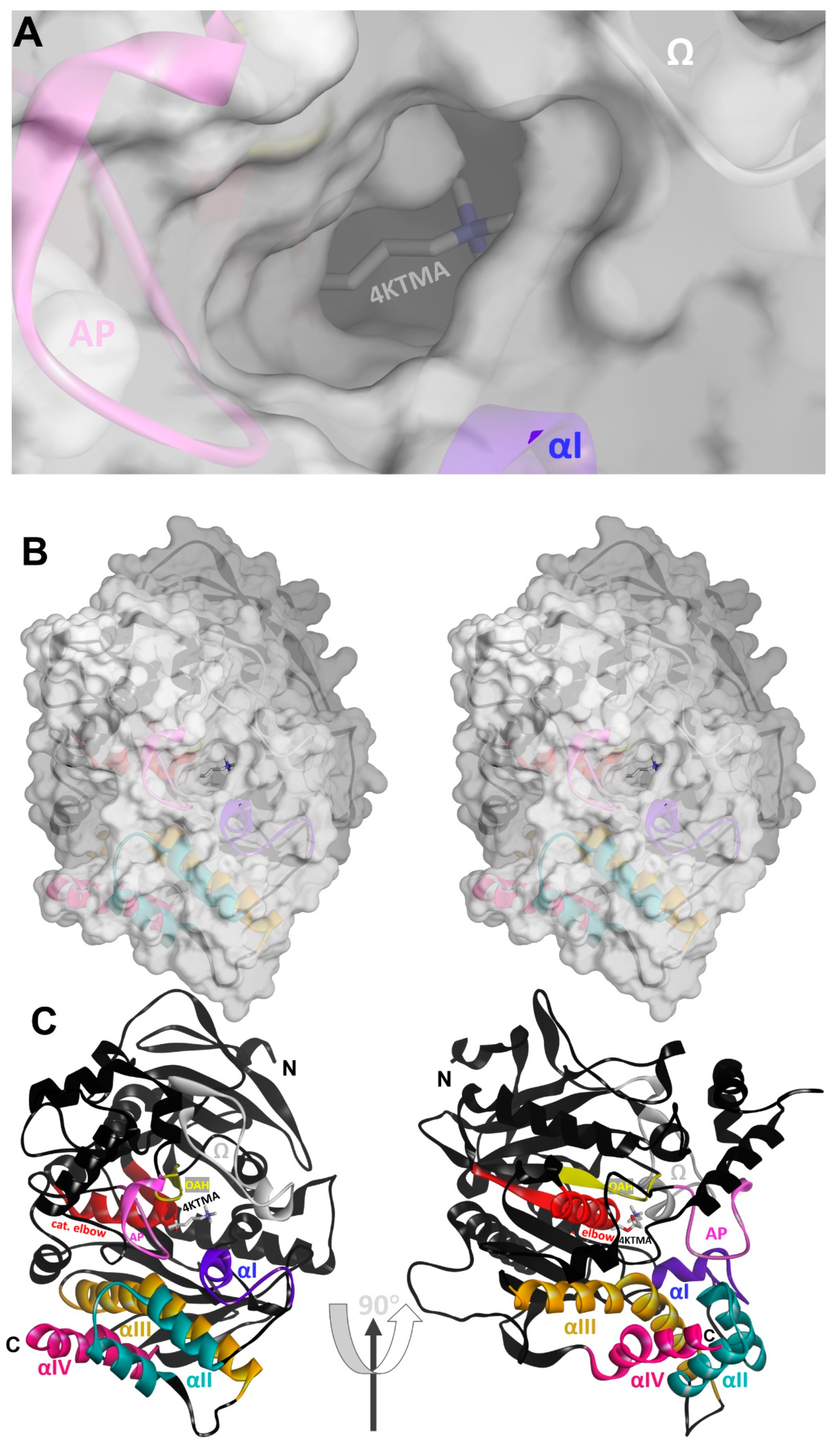 Crystals 11 01557 g002 Crystals 11 01557 g002