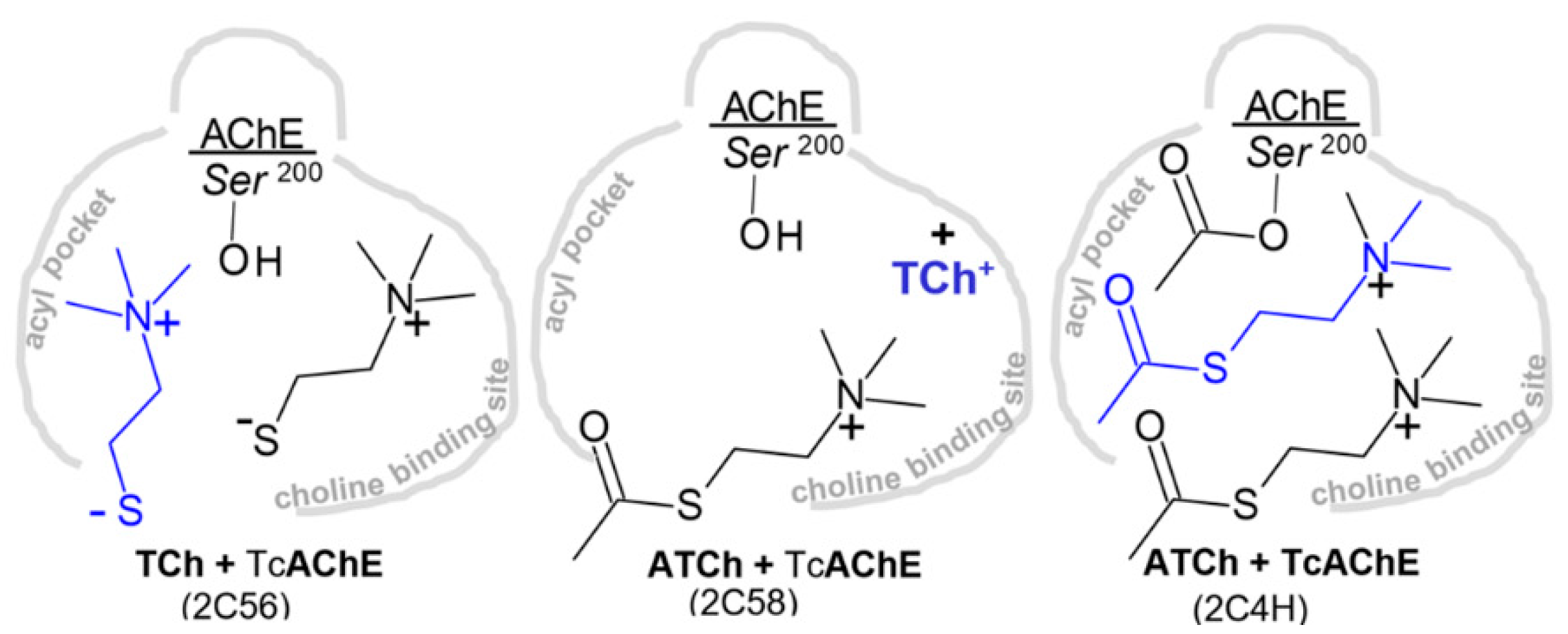 Crystals 11 01557 g010 Crystals 11 01557 g010