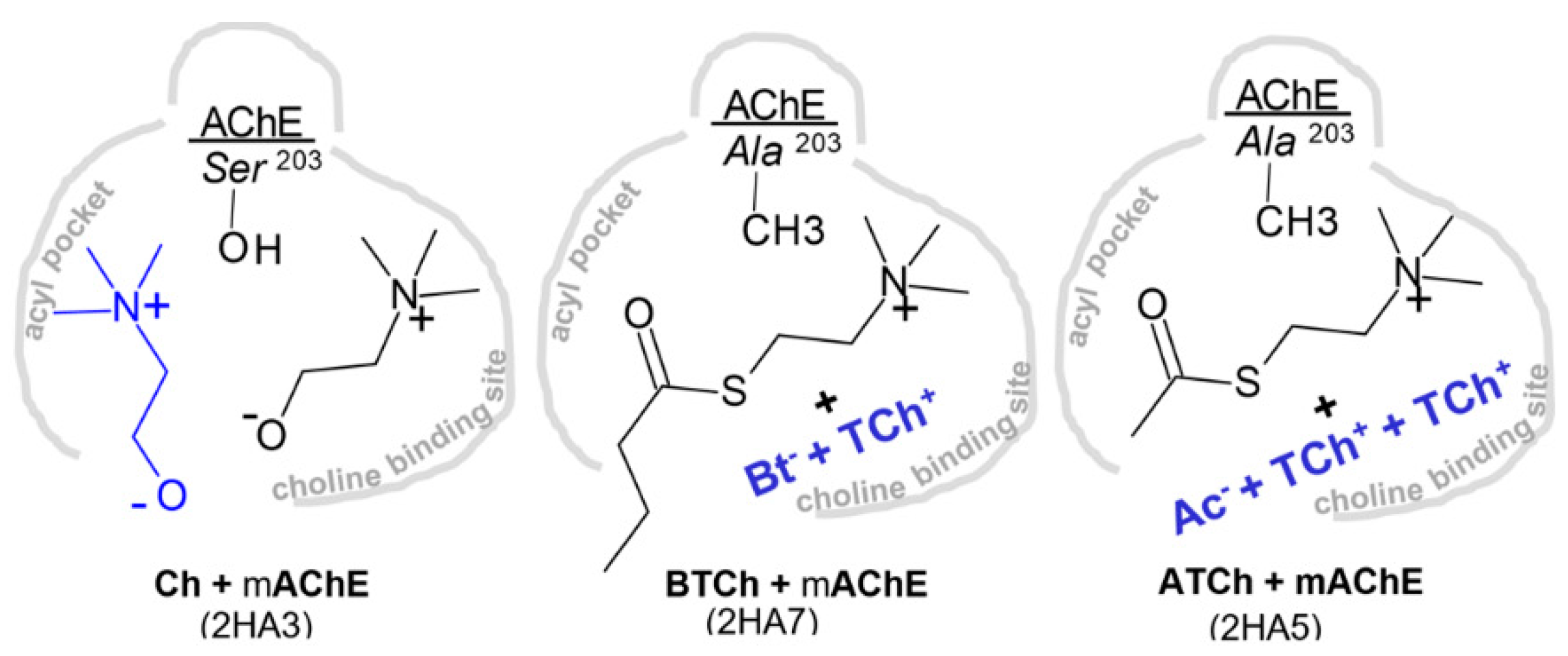 Crystals 11 01557 g011 Crystals 11 01557 g011