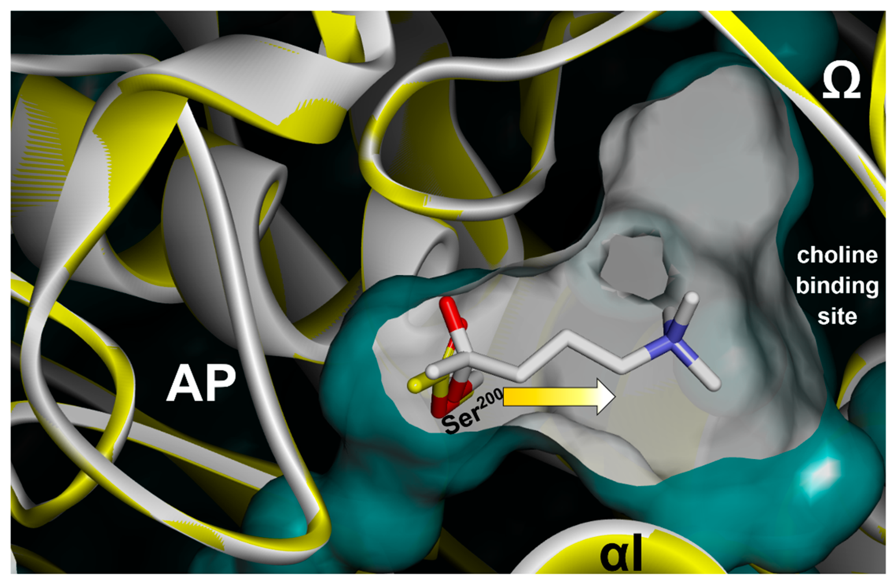 Crystals 11 01557 g012 Crystals 11 01557 g012
