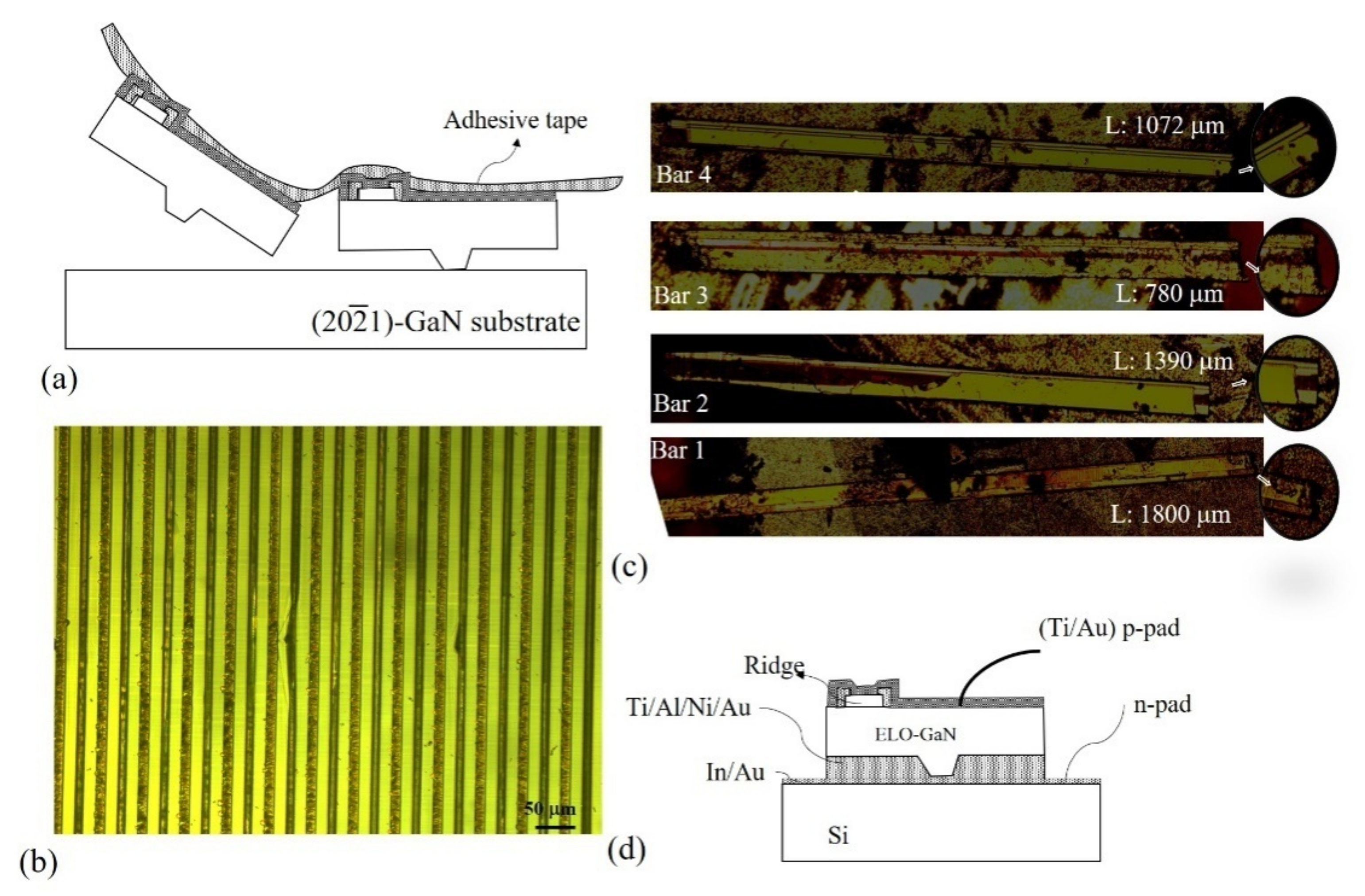Crystals 11 01563 g002