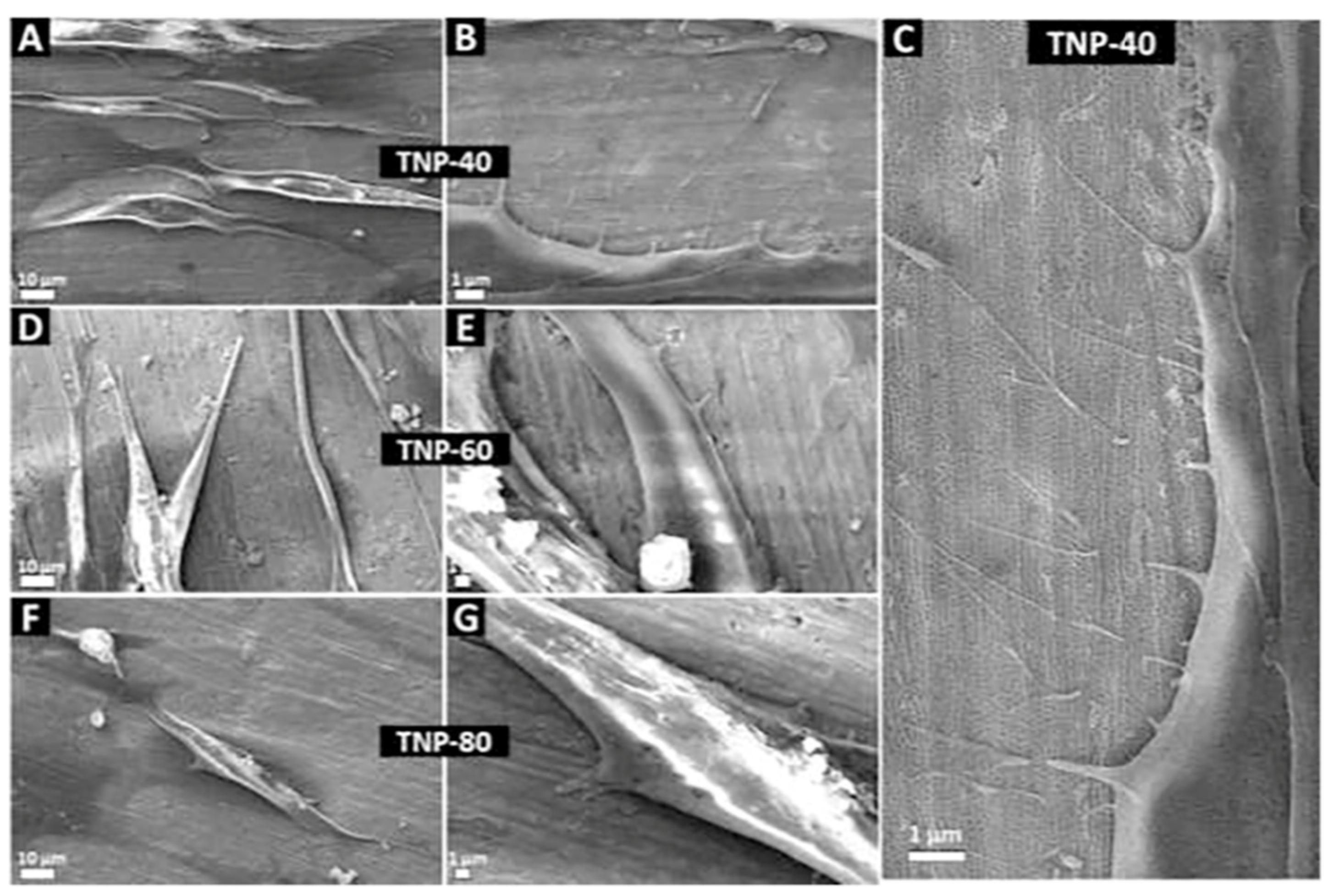 Crystals 11 01566 g005