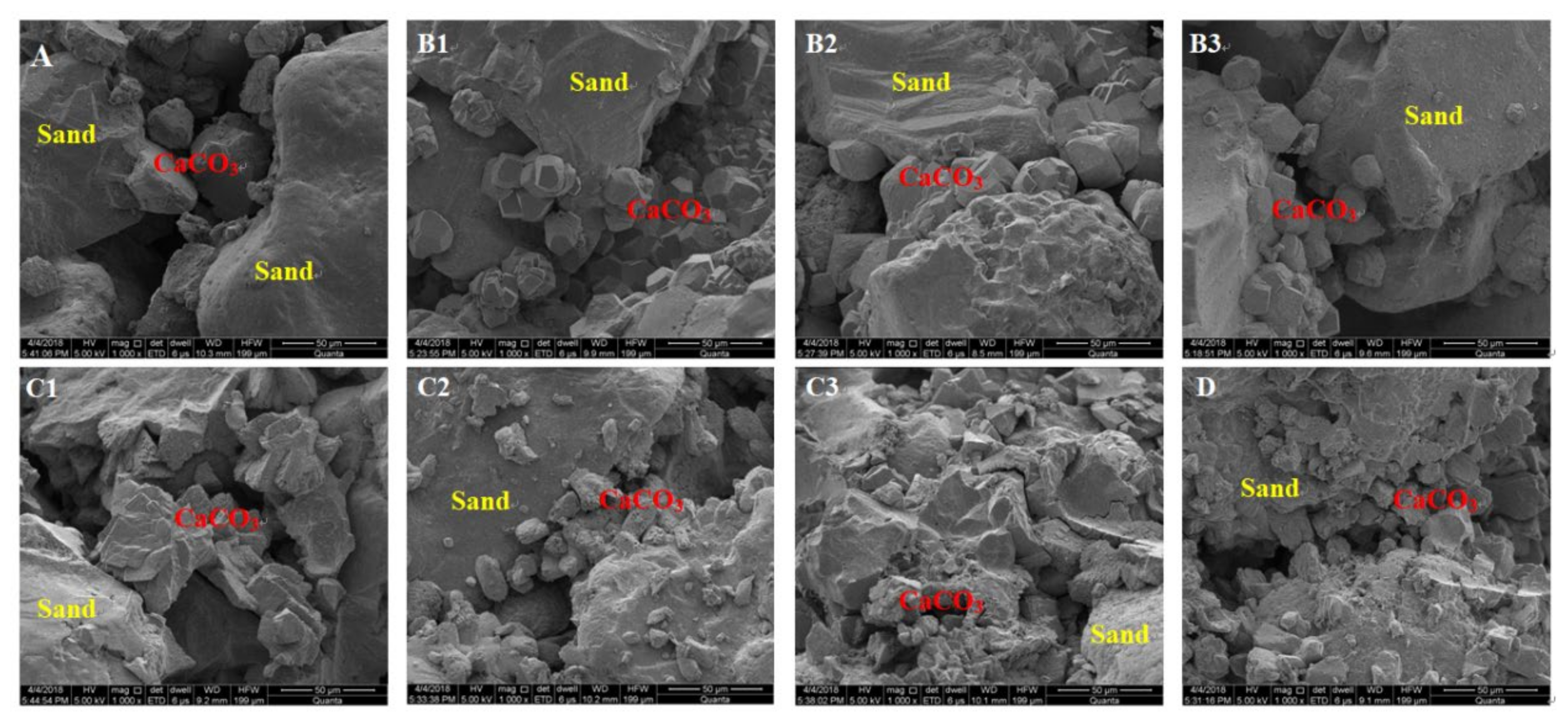 Crystals 11 01572 g005 550