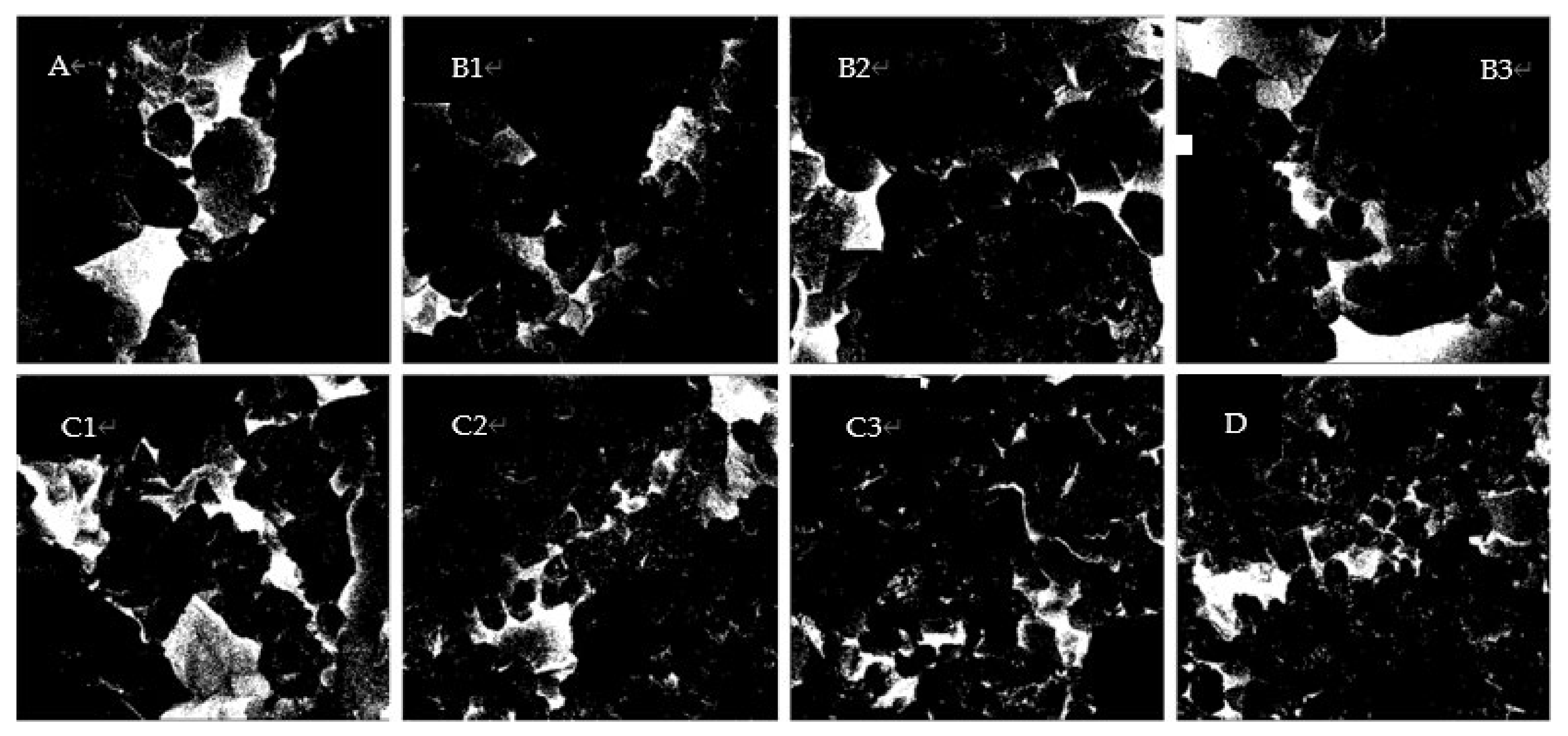 Crystals 11 01572 g006 550