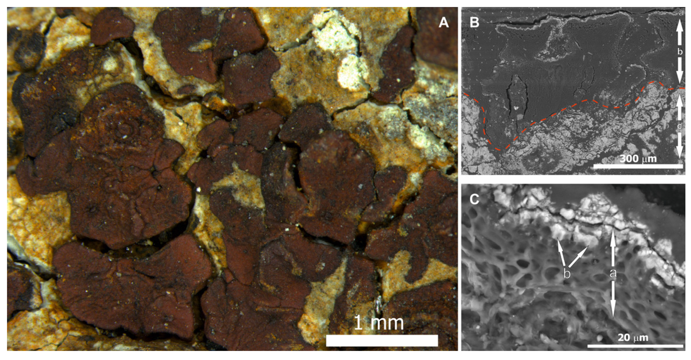 Crystals 11 01591 g005