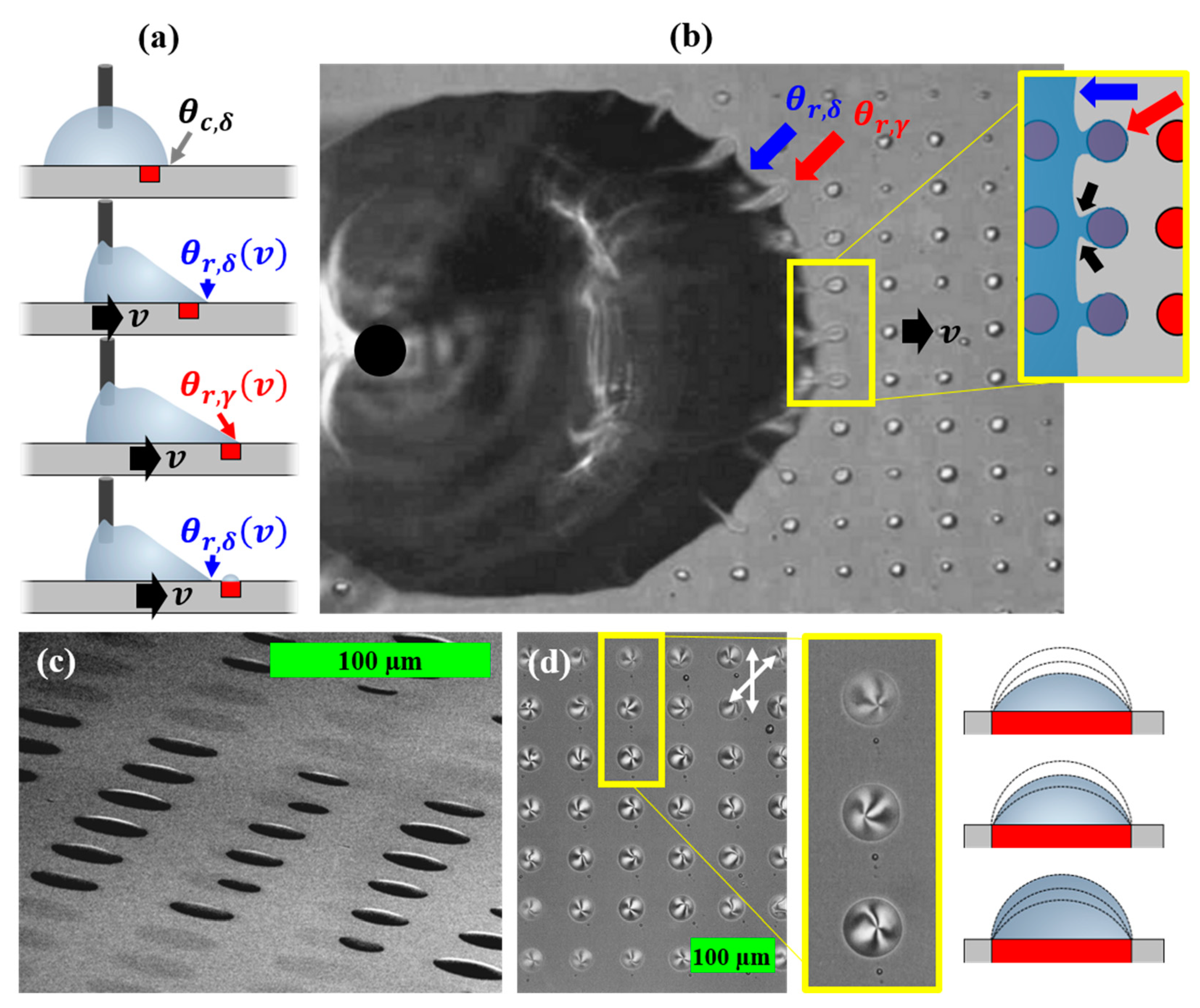 Crystals 12 00013 g002