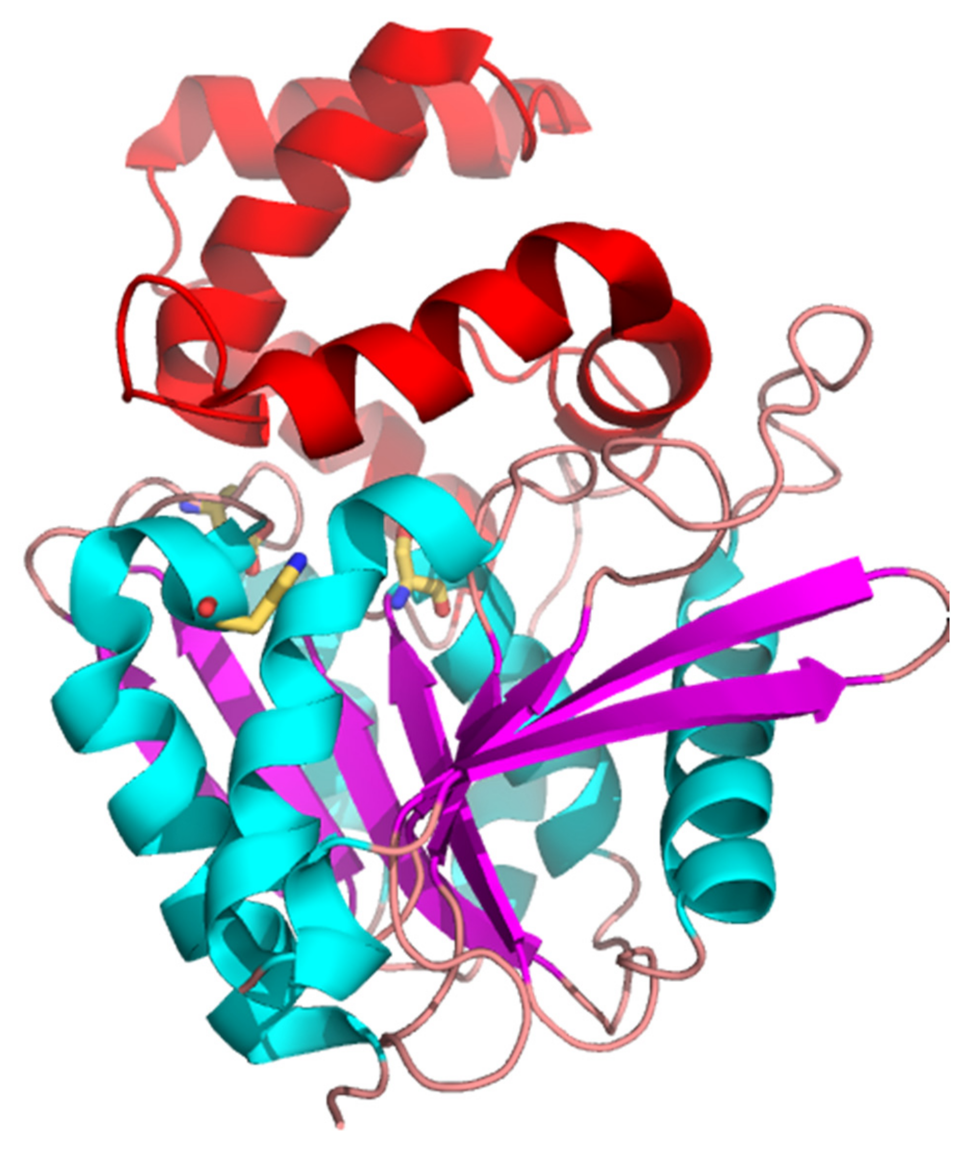 Crystals 12 00018 g003