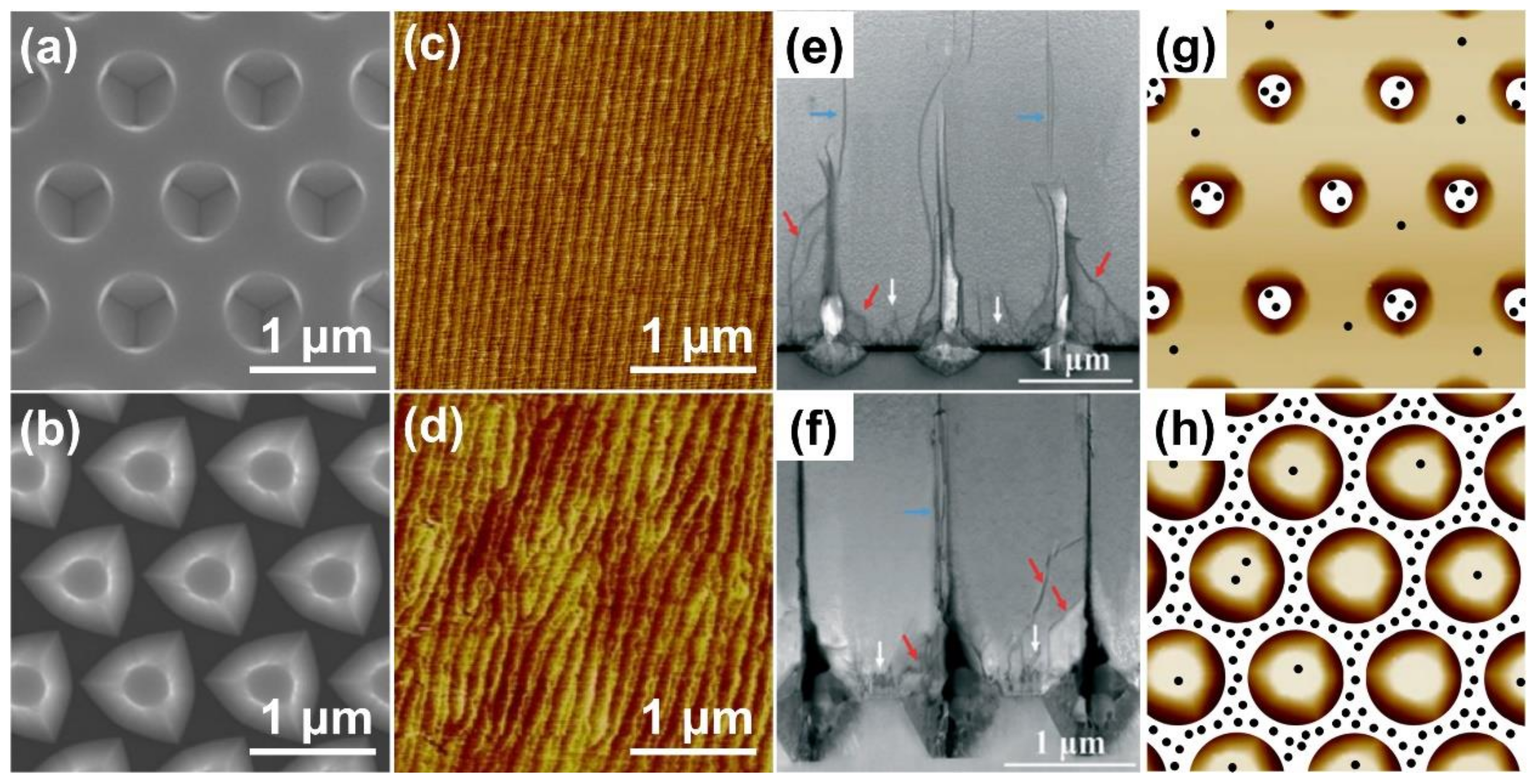 Crystals 12 00038 g013