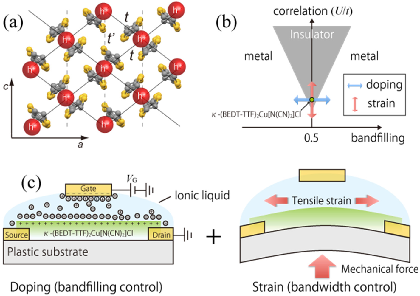 Crystals 12 00042 g001 550