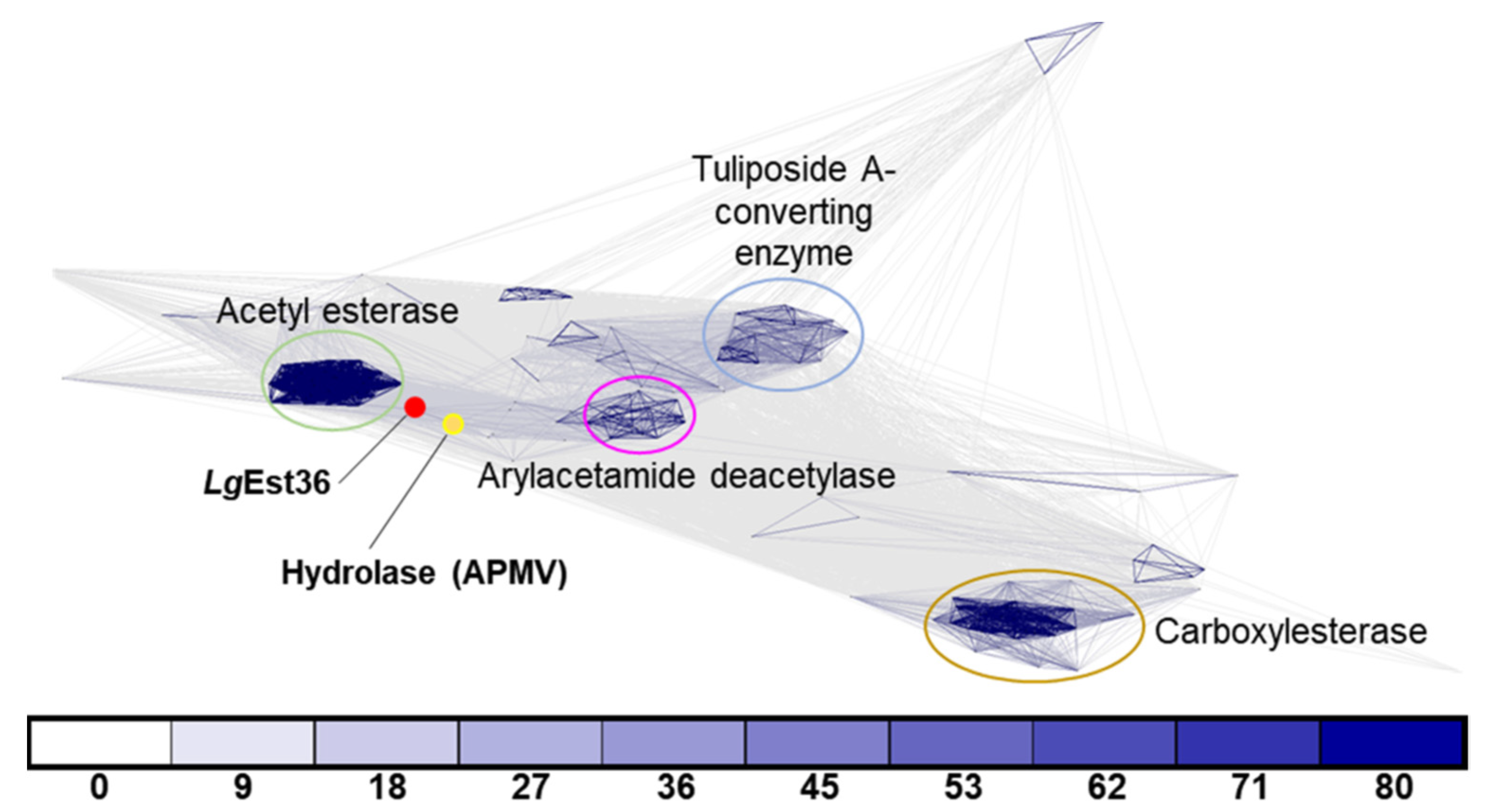 Crystals 12 00046 g001