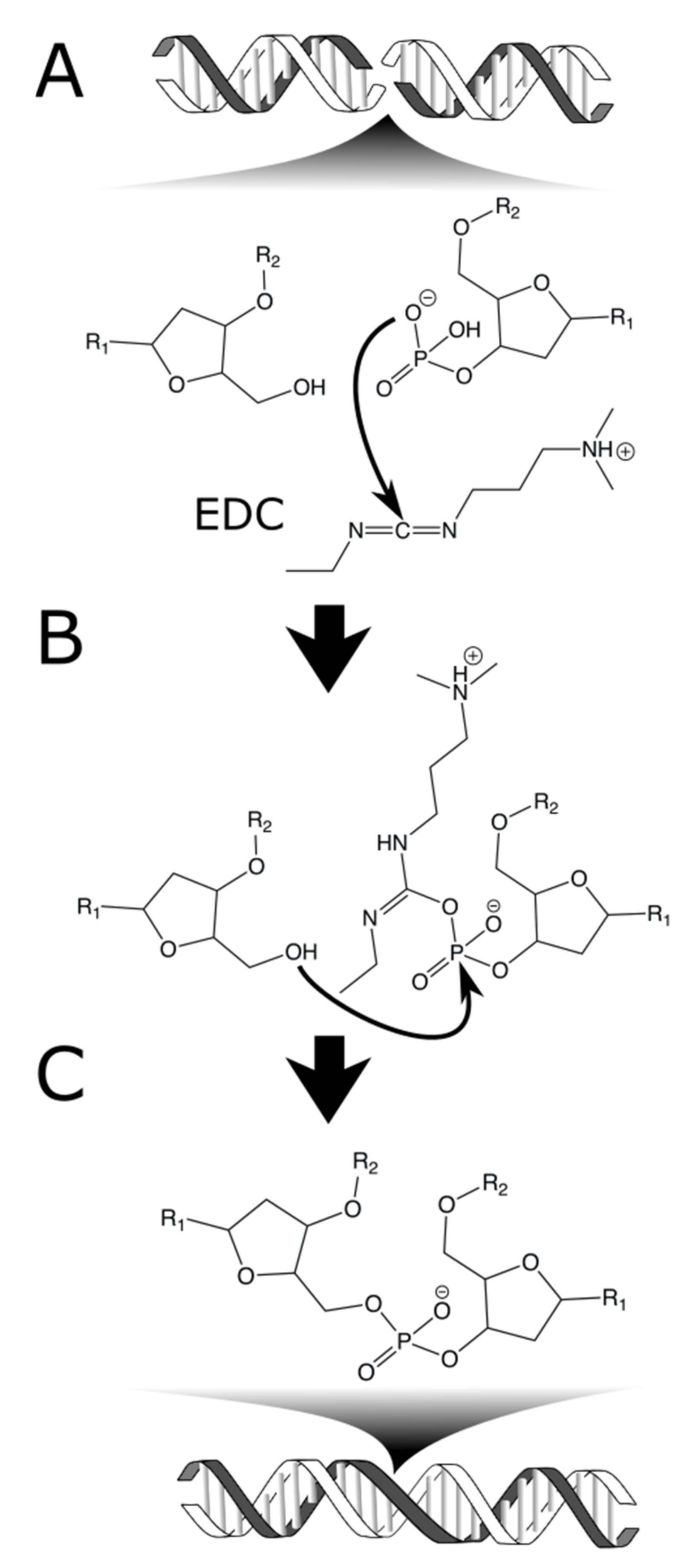 Crystals 12 00049 g001 550