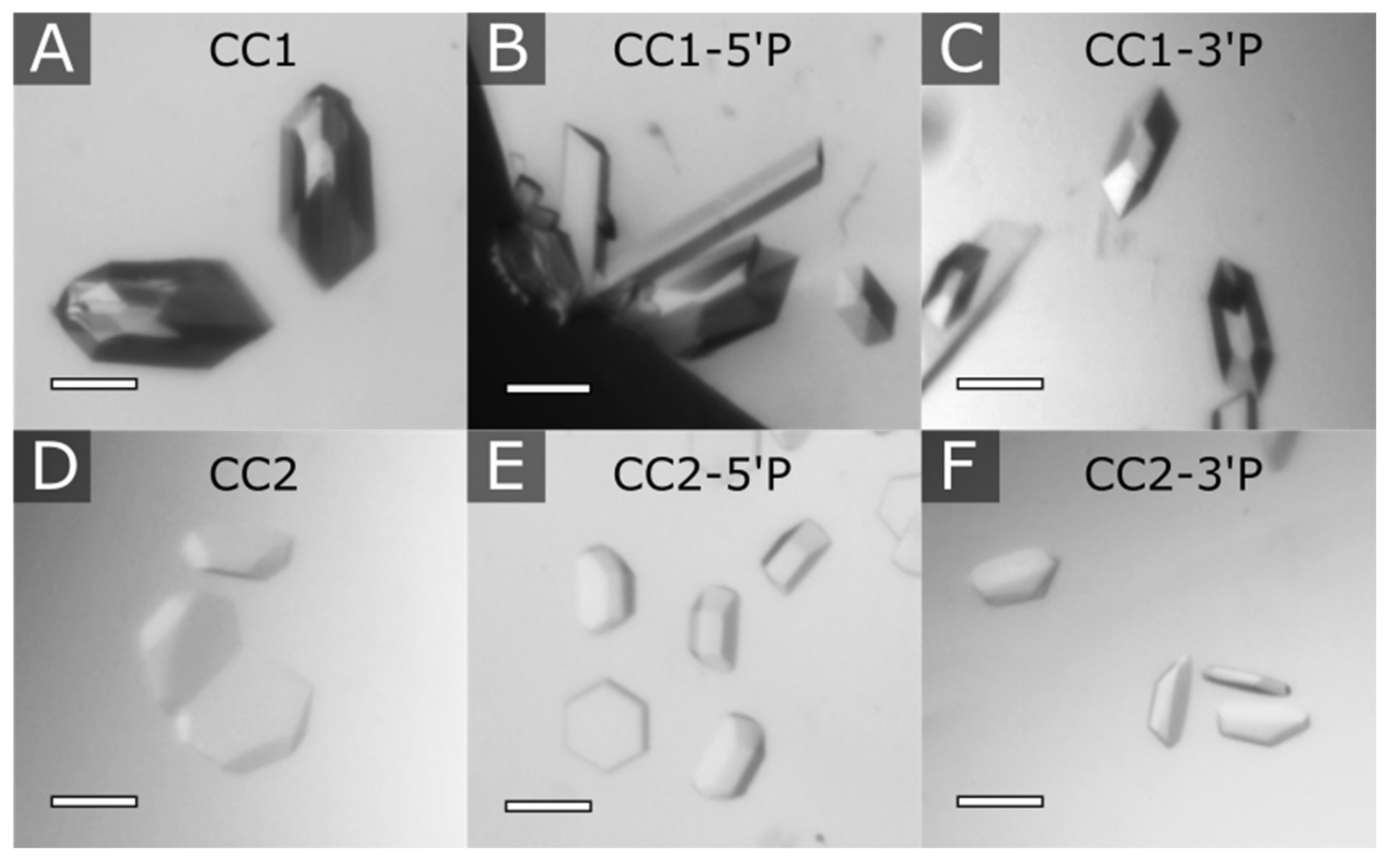 Crystals 12 00049 g003 550