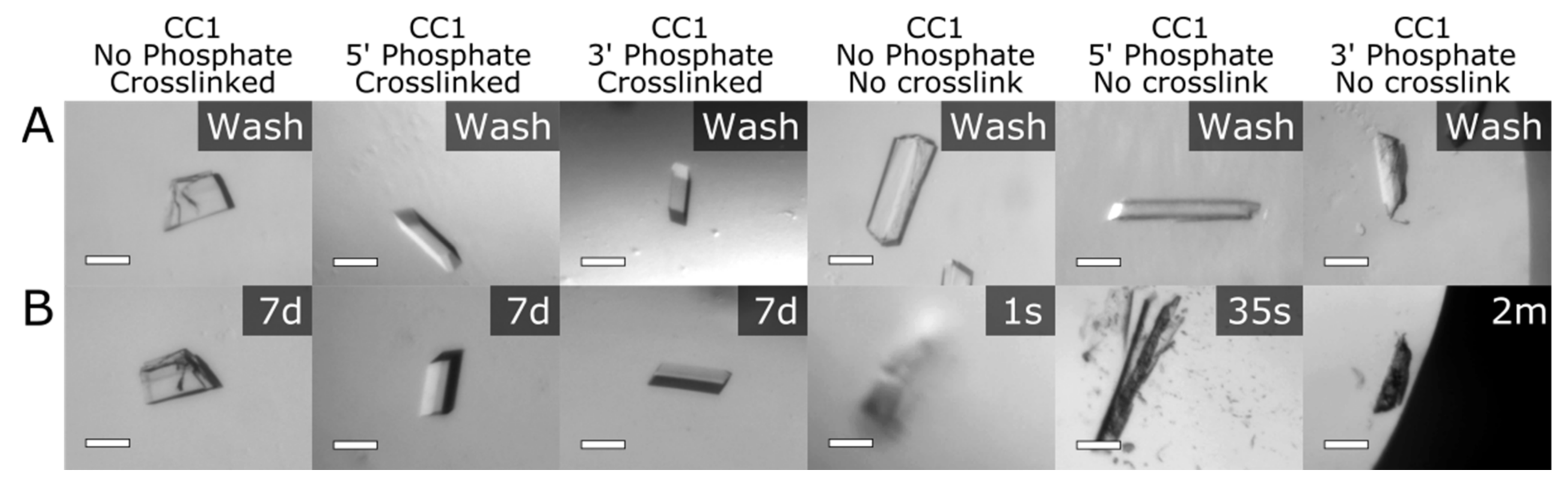 Crystals 12 00049 g007 550