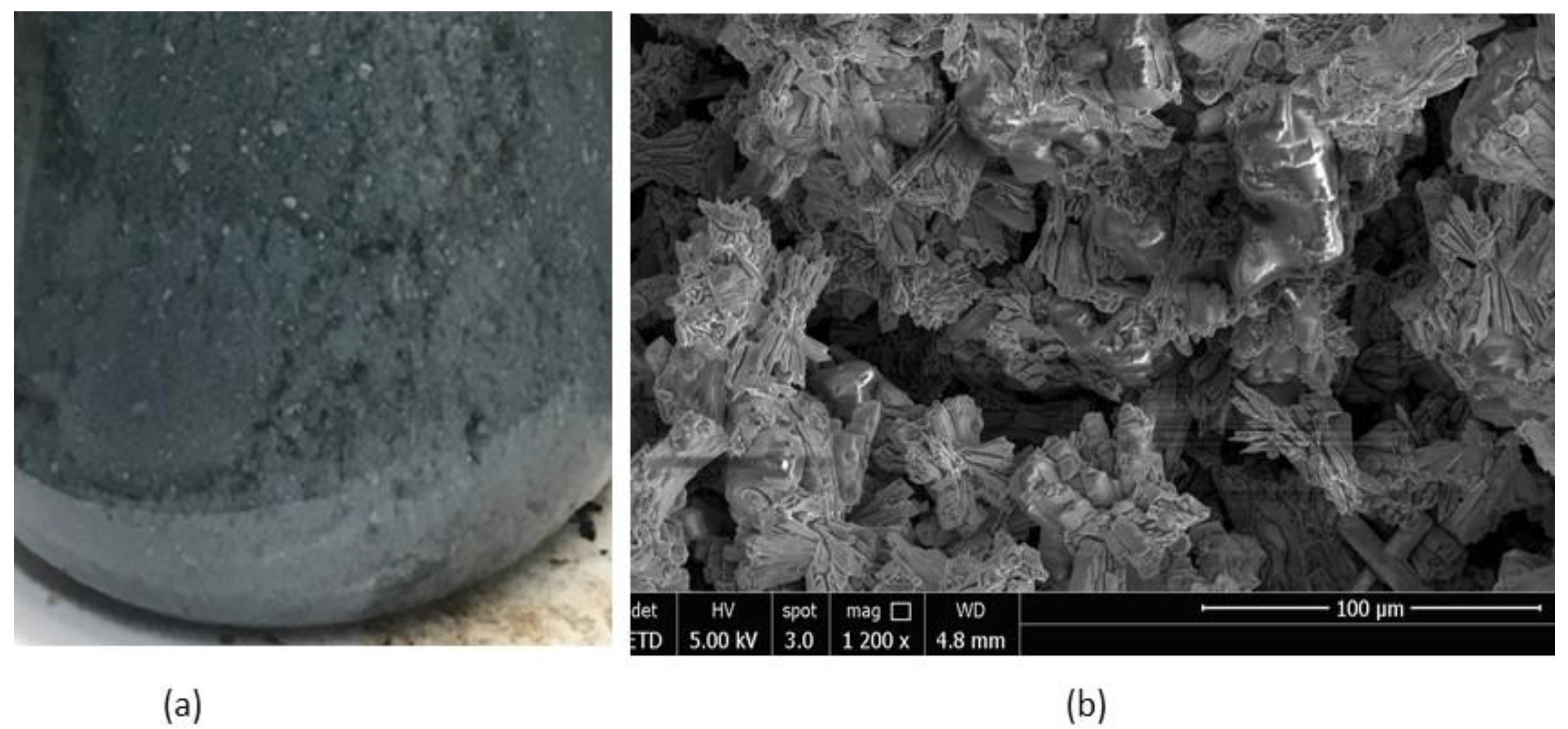 Crystals 12 00071 g004