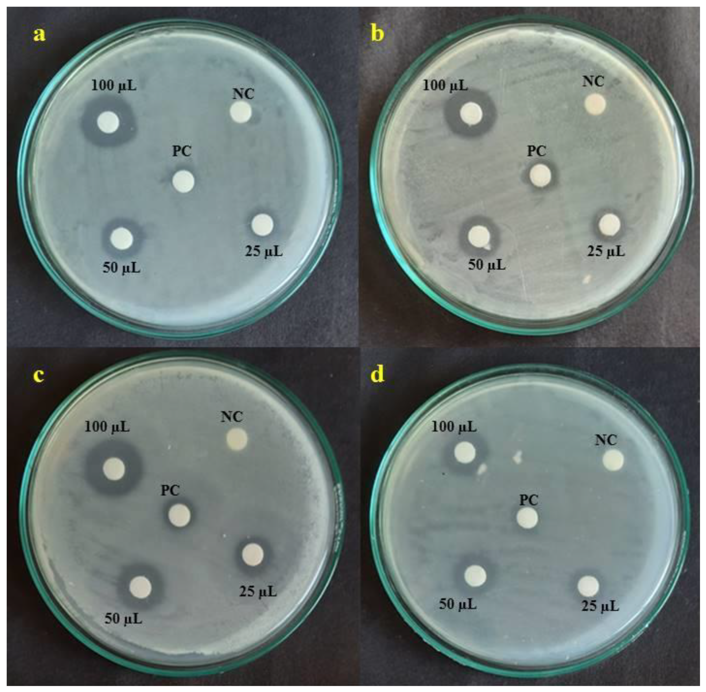 Crystals 12 00072 g008