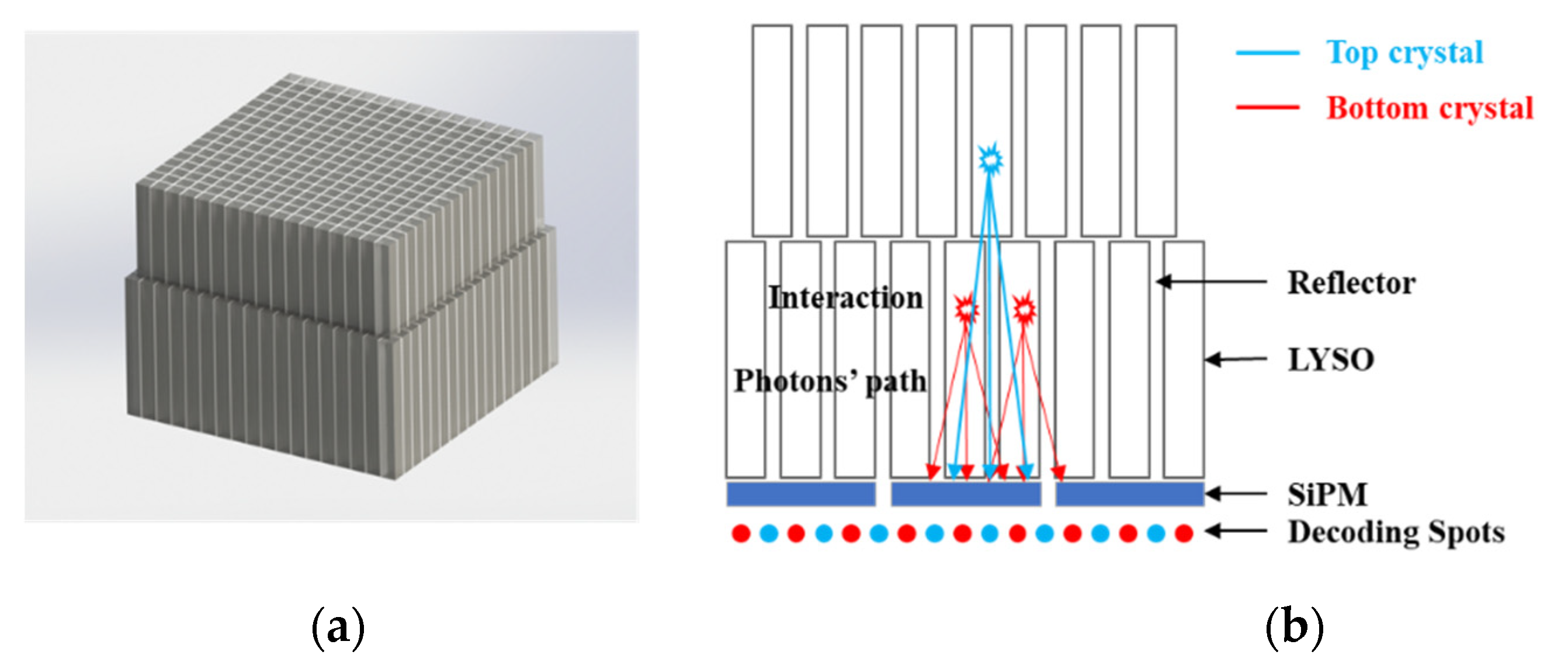 Effortless Shopping 20 pieces LYSO Scintillator Crystal for Gamma