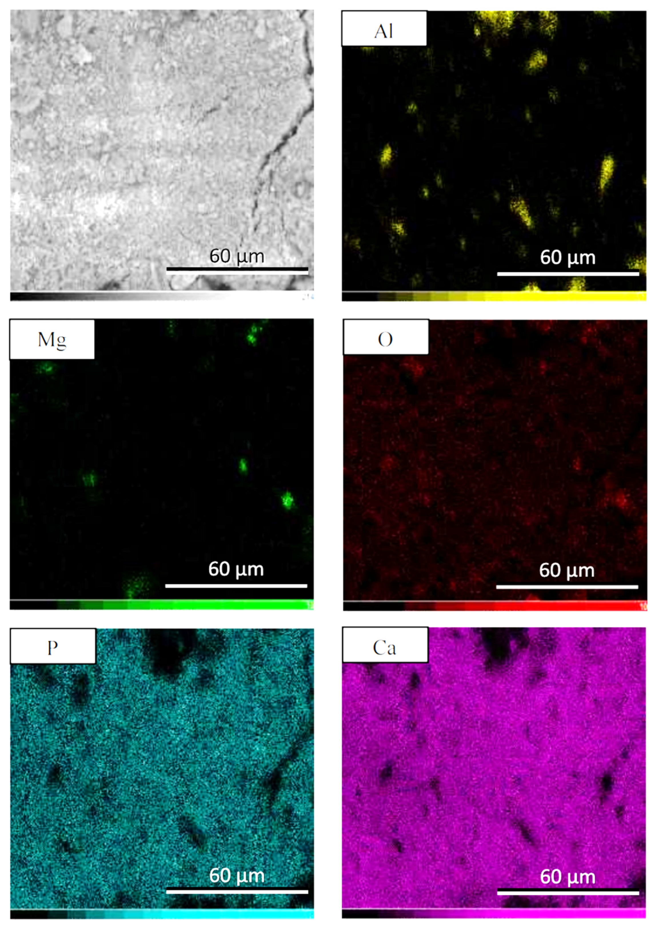 Crystals 12 00096 g007 550
