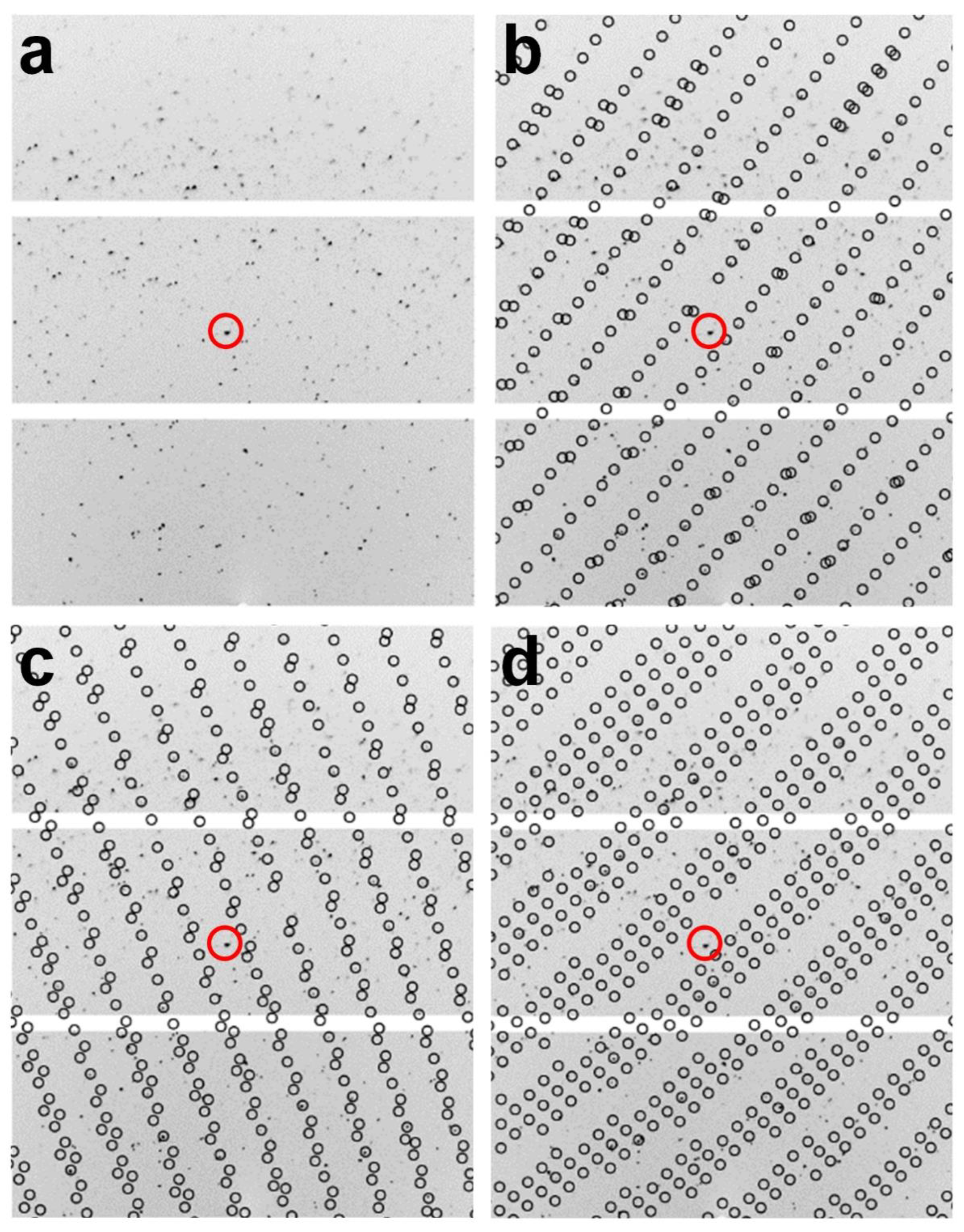 Crystals 12 00103 g003 550