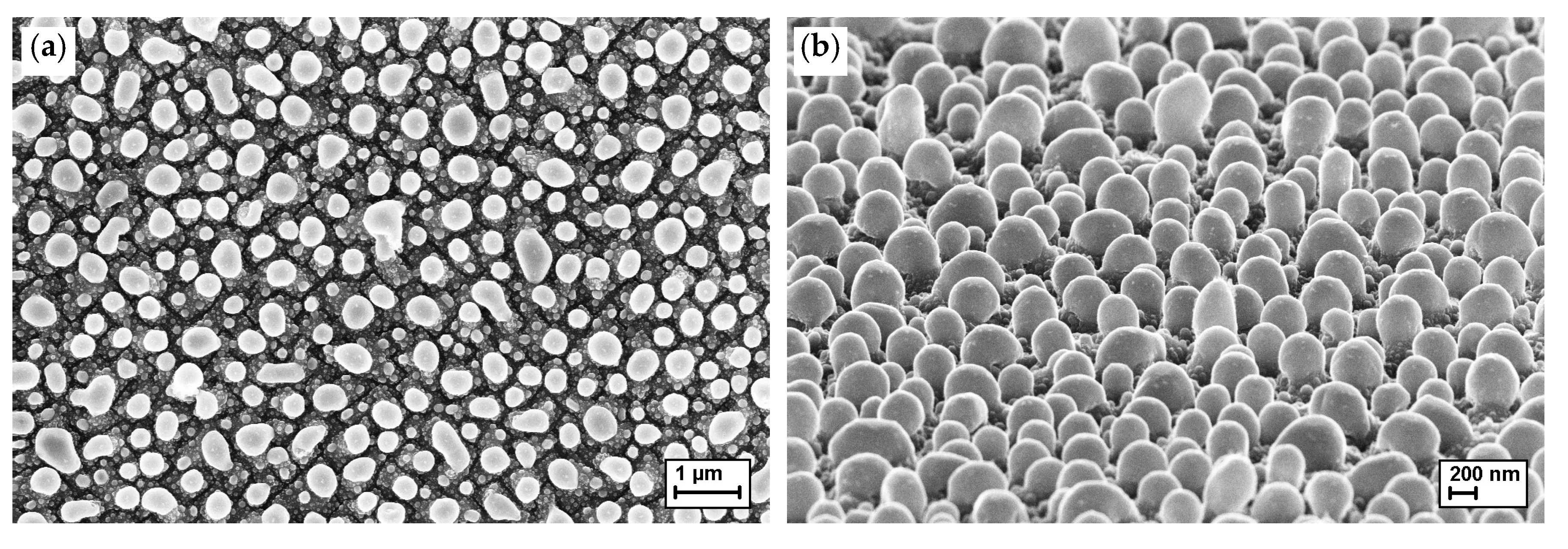 Crystals 12 00111 g004 Crystals 12 00111 g004