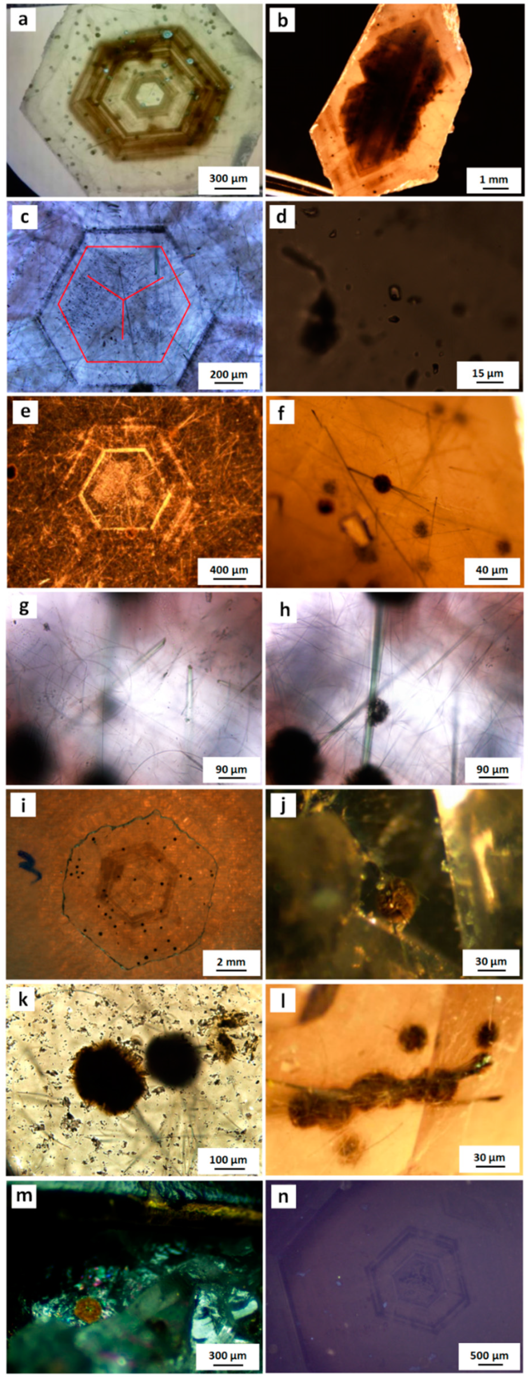 Crystals 12 00122 g003 550
