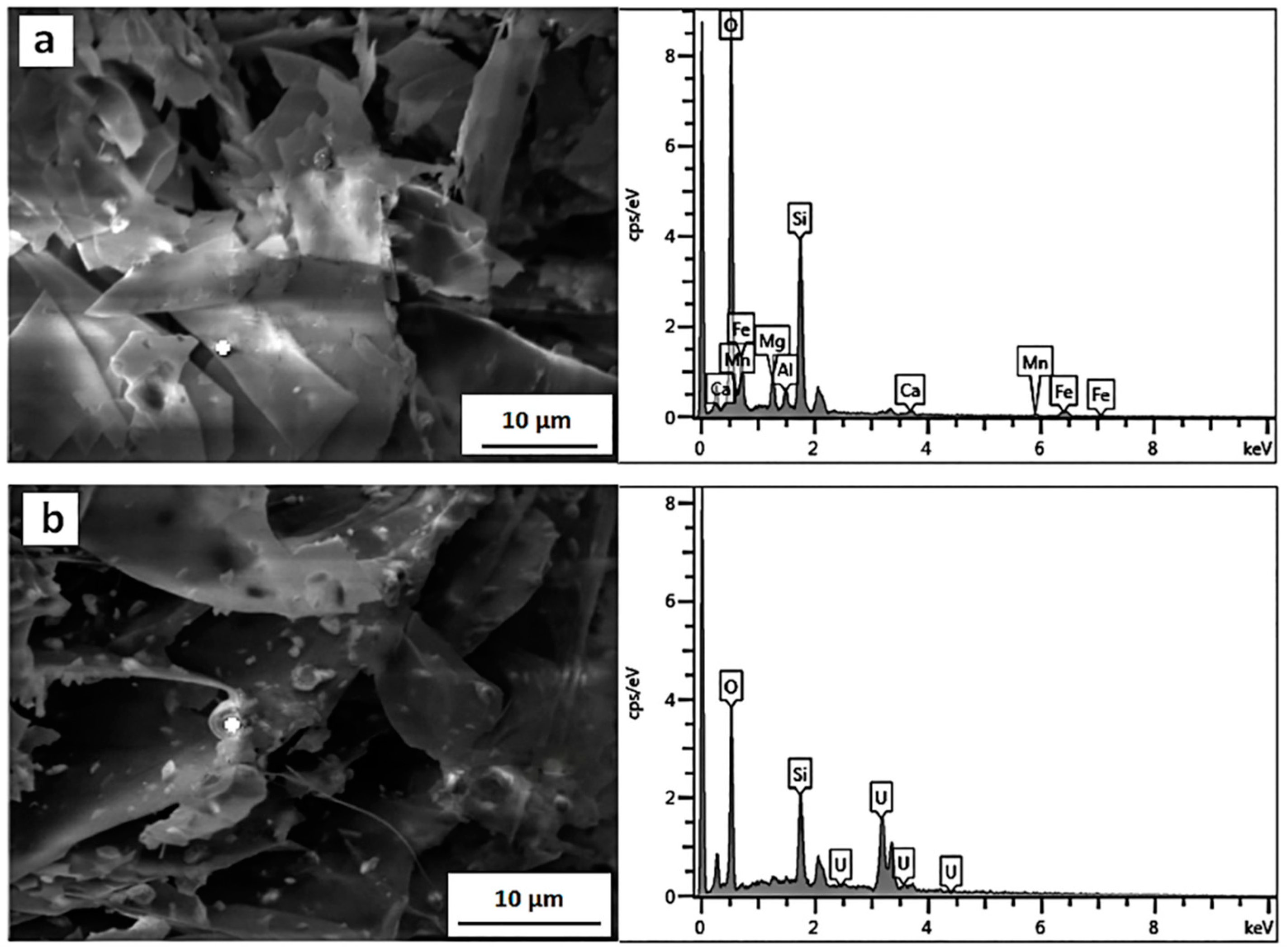 Crystals 12 00122 g007 550