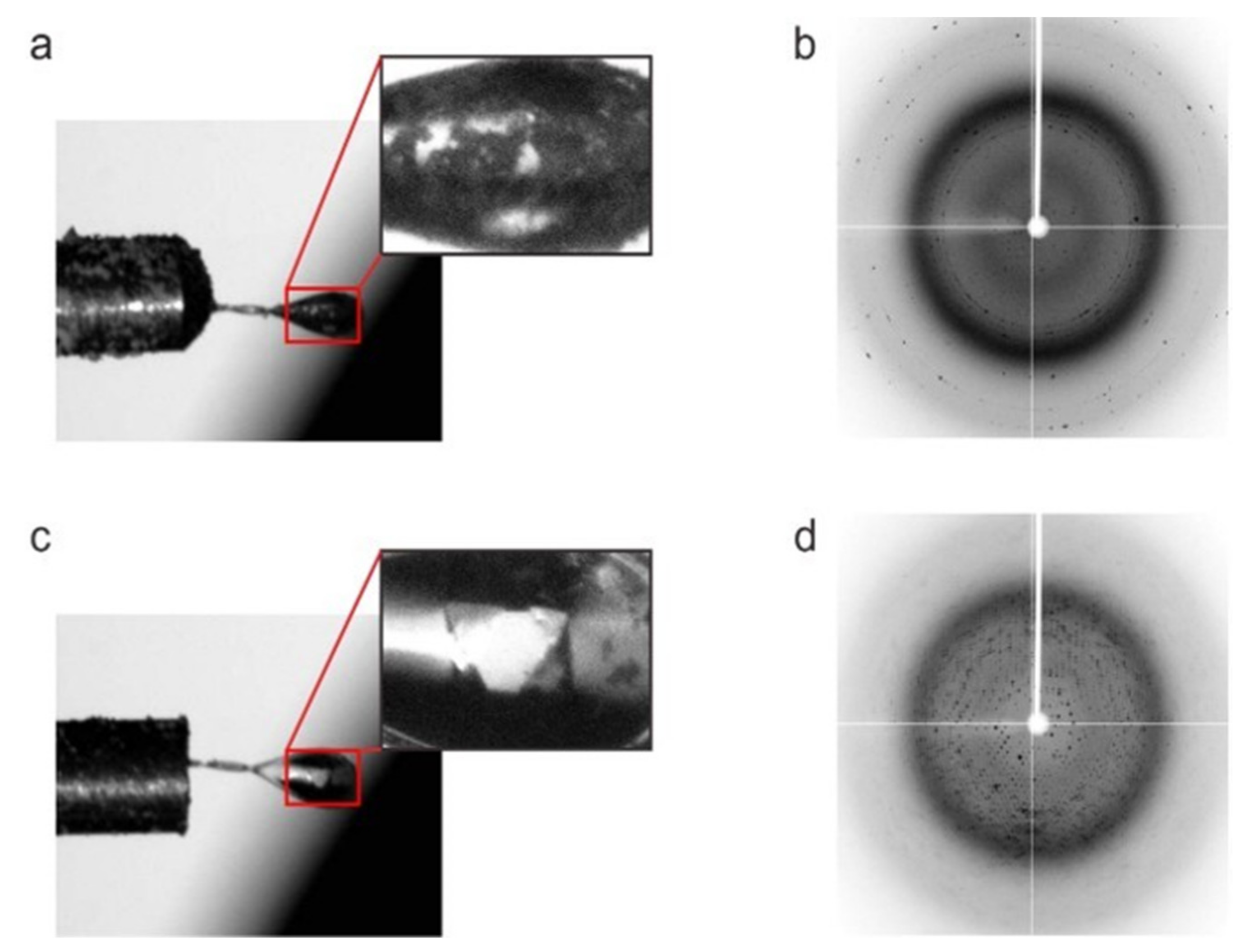 Crystals 12 00138 g003