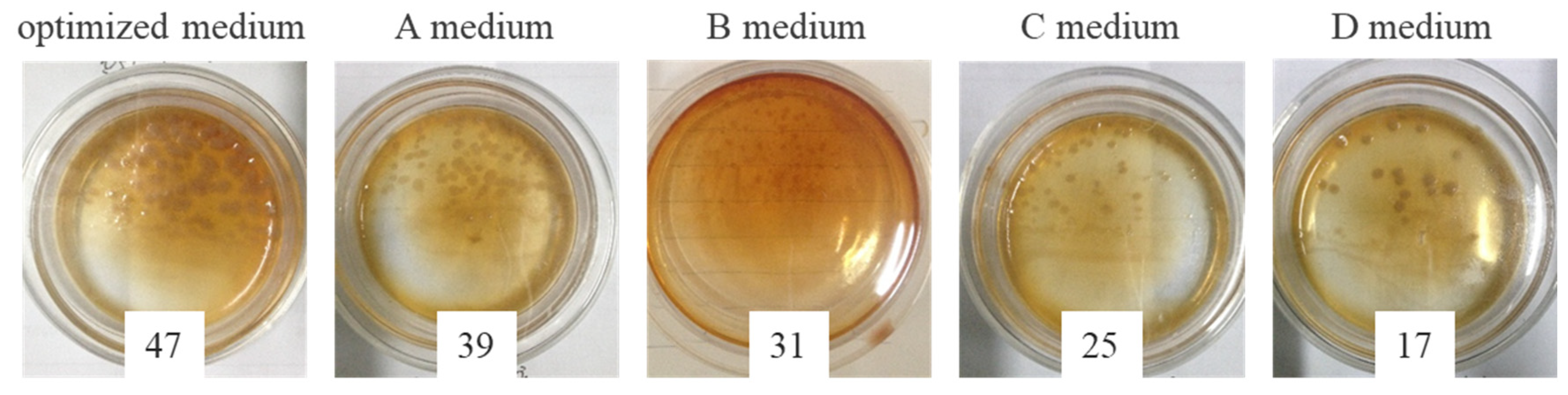 Crystals 12 00188 g008 550
