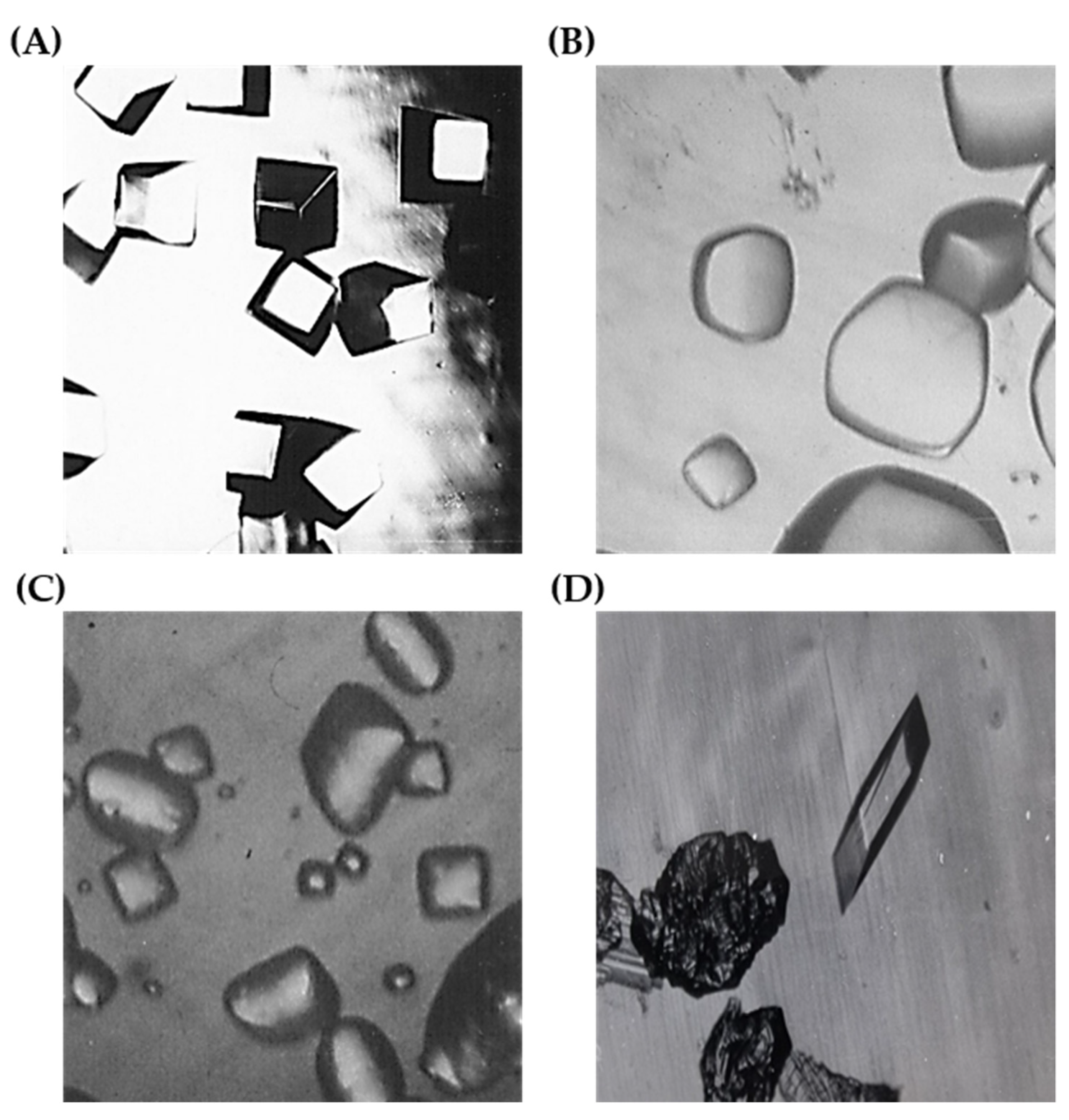 Crystals 12 00196 g003