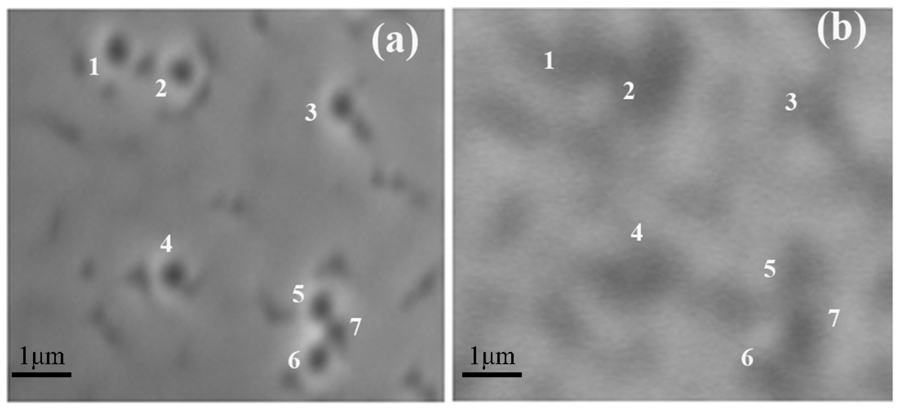 Crystals 12 00203 g005 550