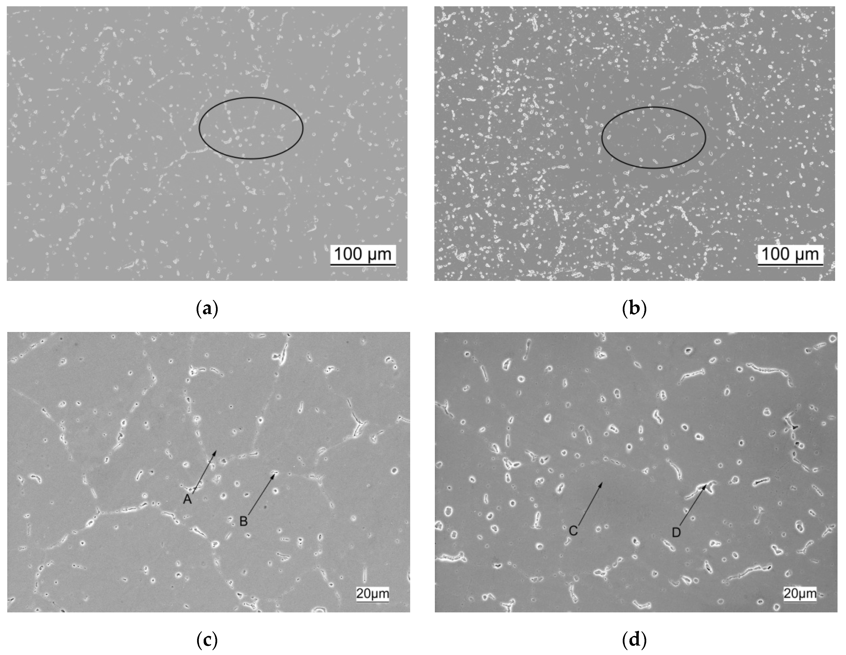 Crystals 12 00240 g008