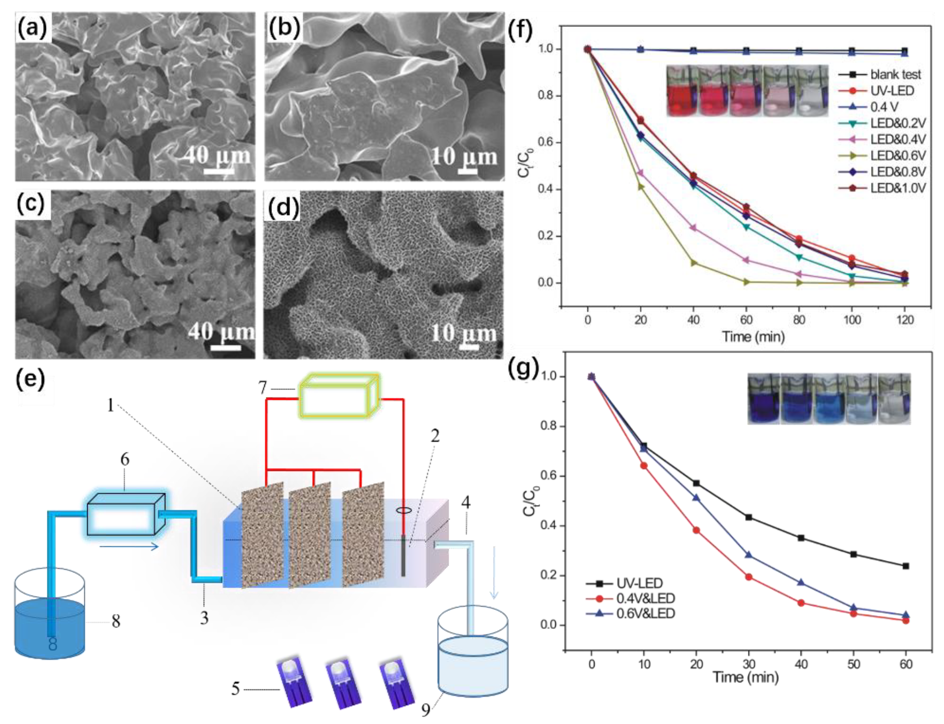 Crystals 12 00274 g005 550