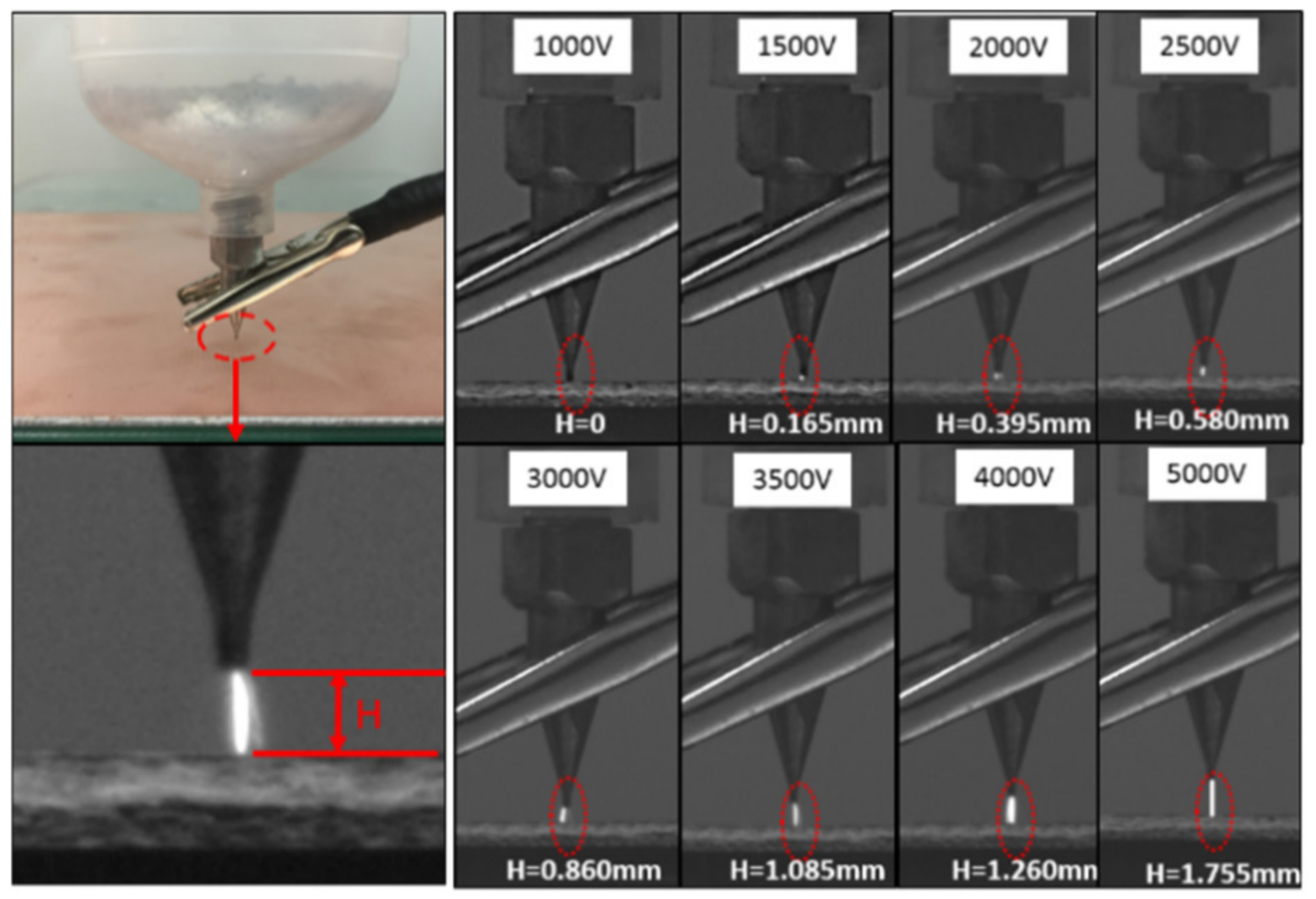 Crystals 12 00277 g004 550