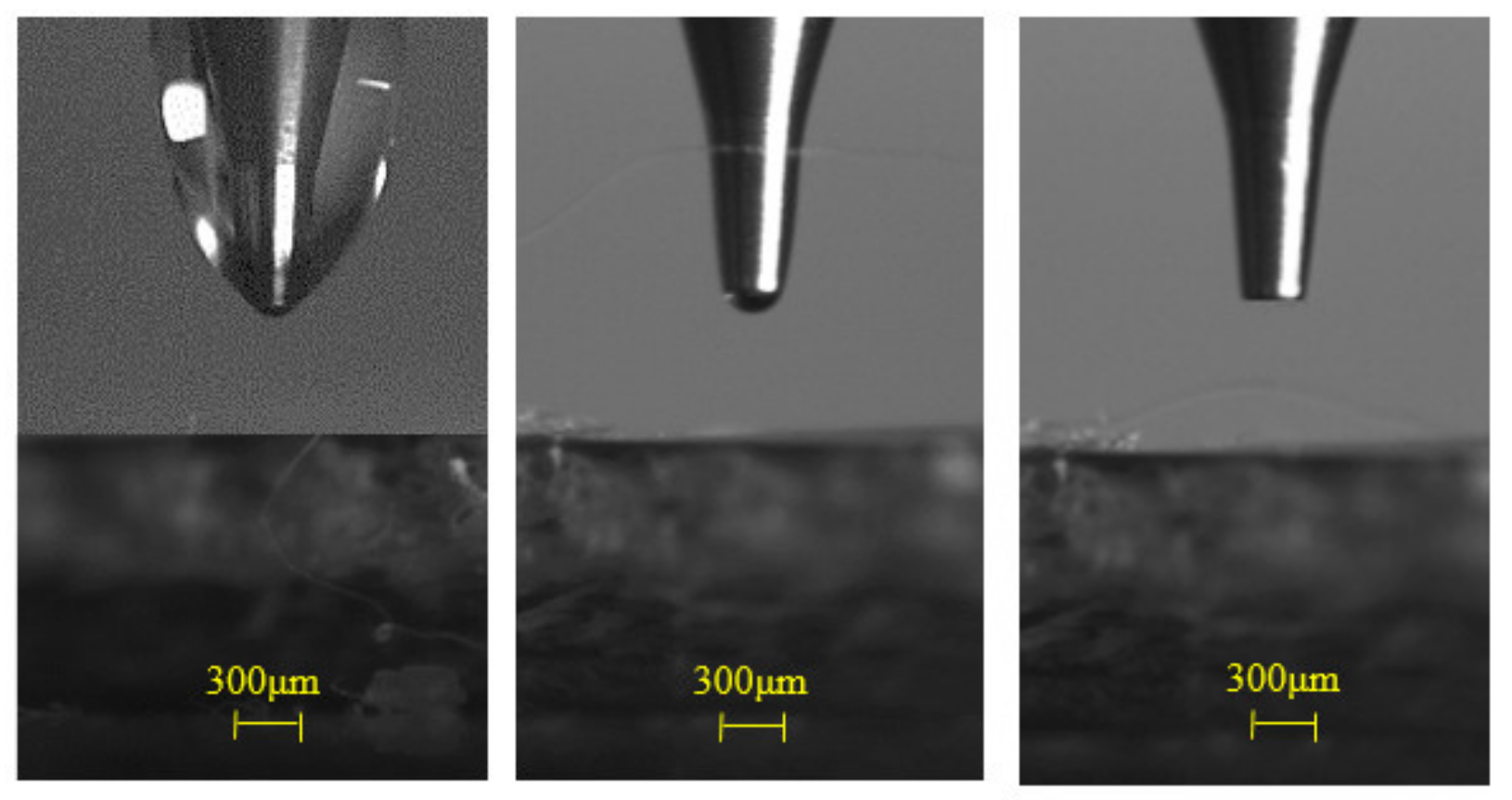 Crystals 12 00277 g005 550
